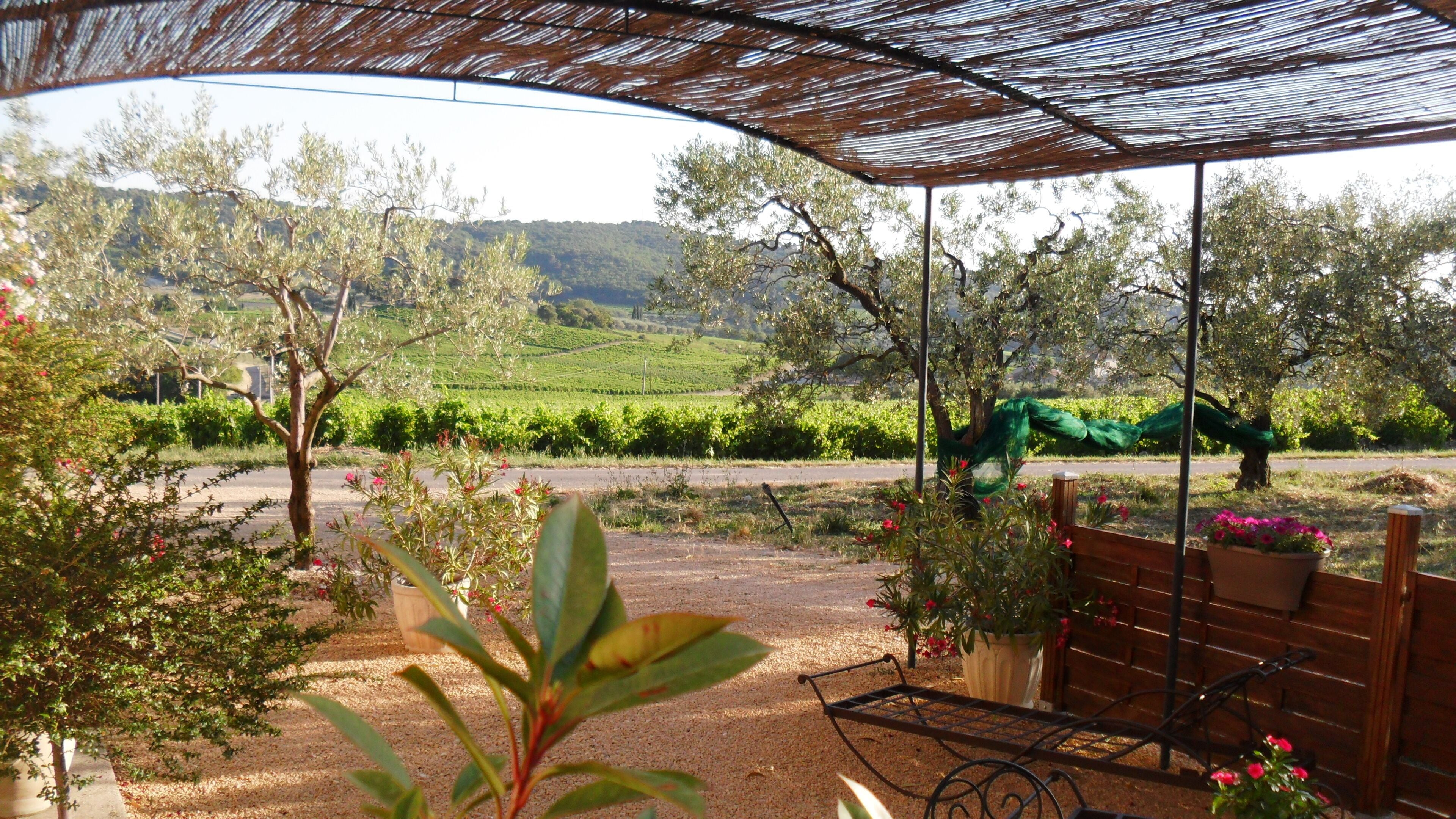 Fenière Provencale 2/4 7km from Nyons amidst olive Ventoux view