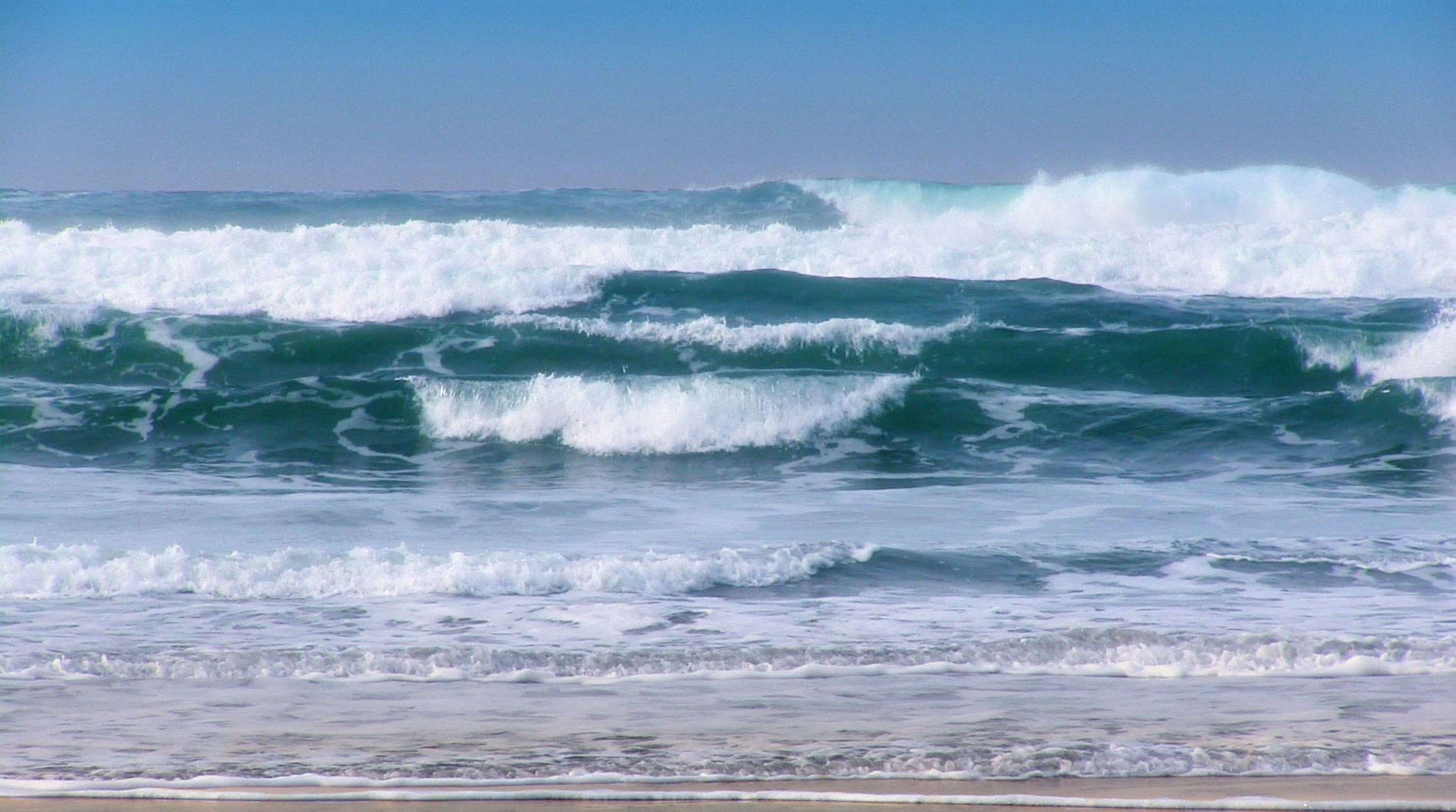 Affordable Ocean Beach, Fire Island Studio Sleeps 2 max, WiFi, satellite TV