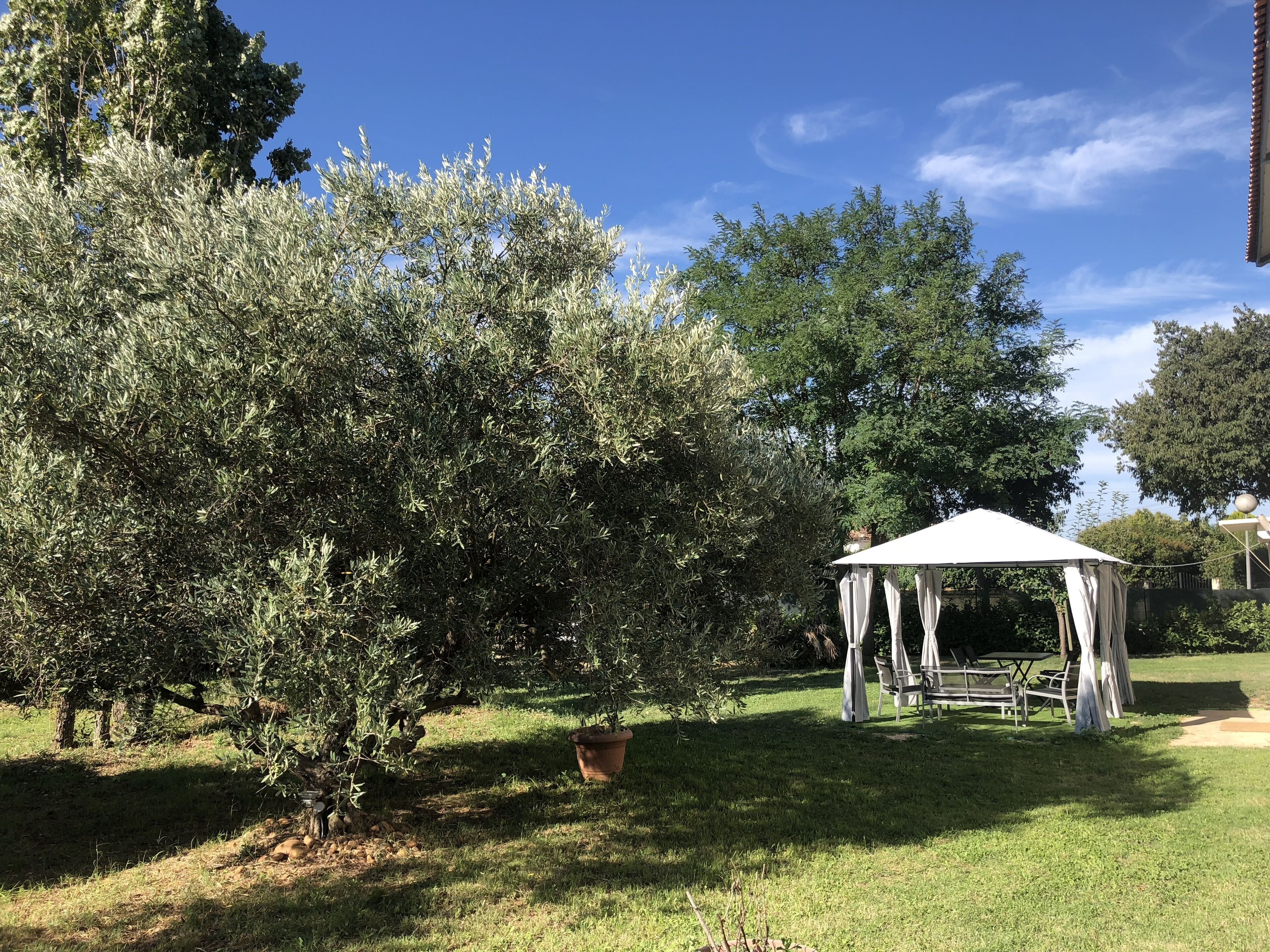 Cottage near the Camargue, fenced garden, swimming pool, pets allowed