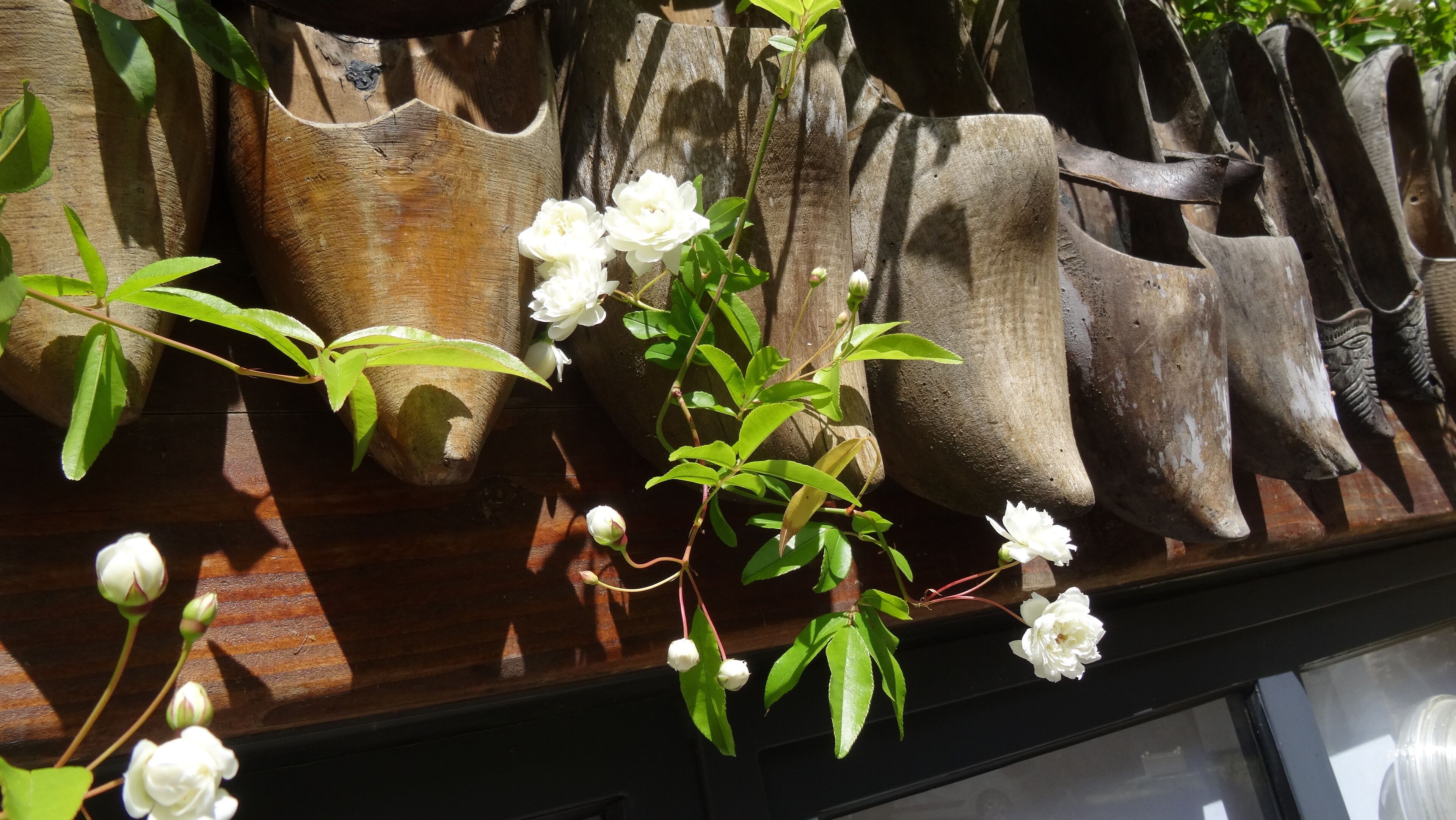 The ROOM of SABOTIER (1 to 2 people) - Near SARLAT - FREE WIFI