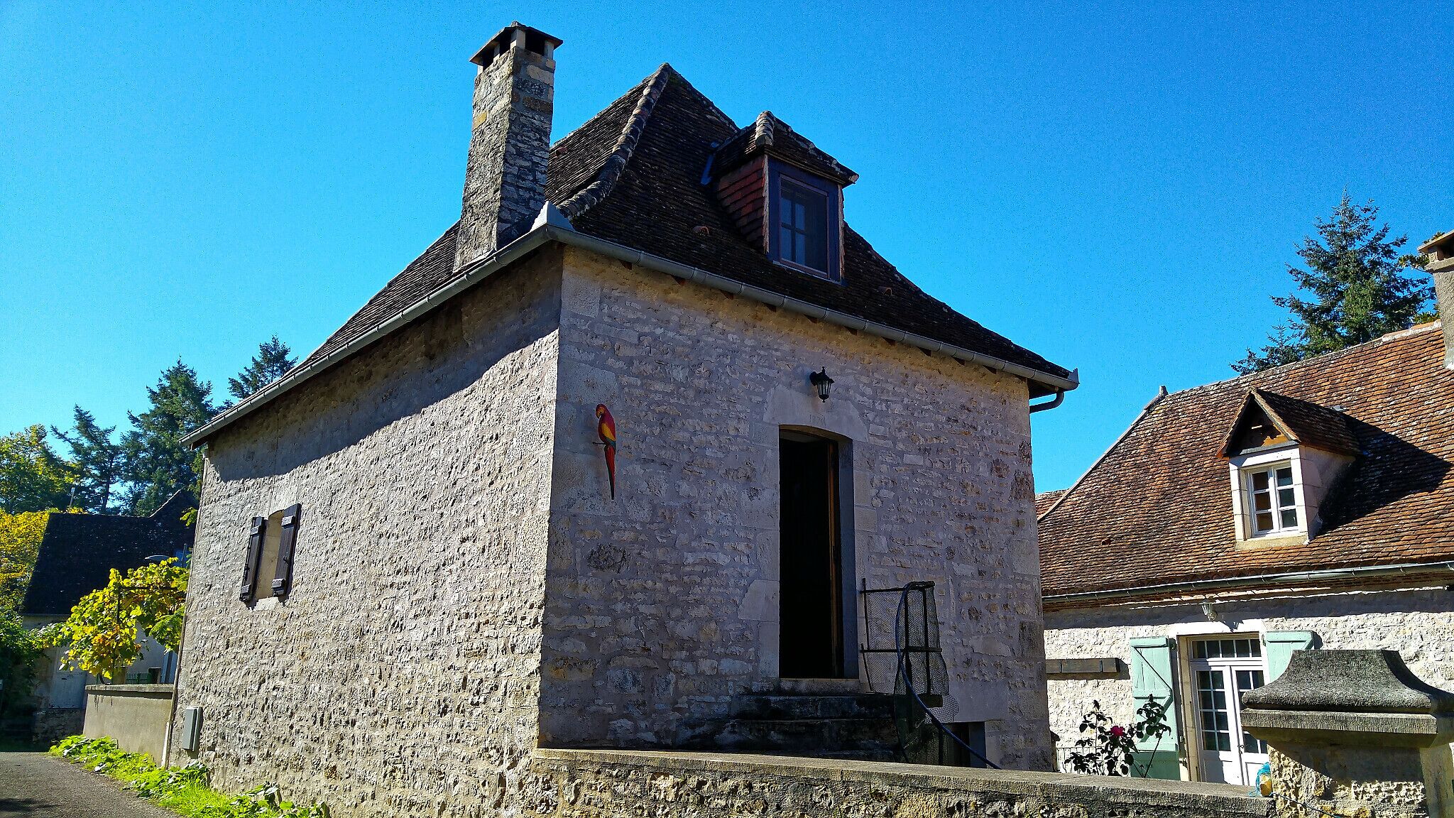 The Parrot House