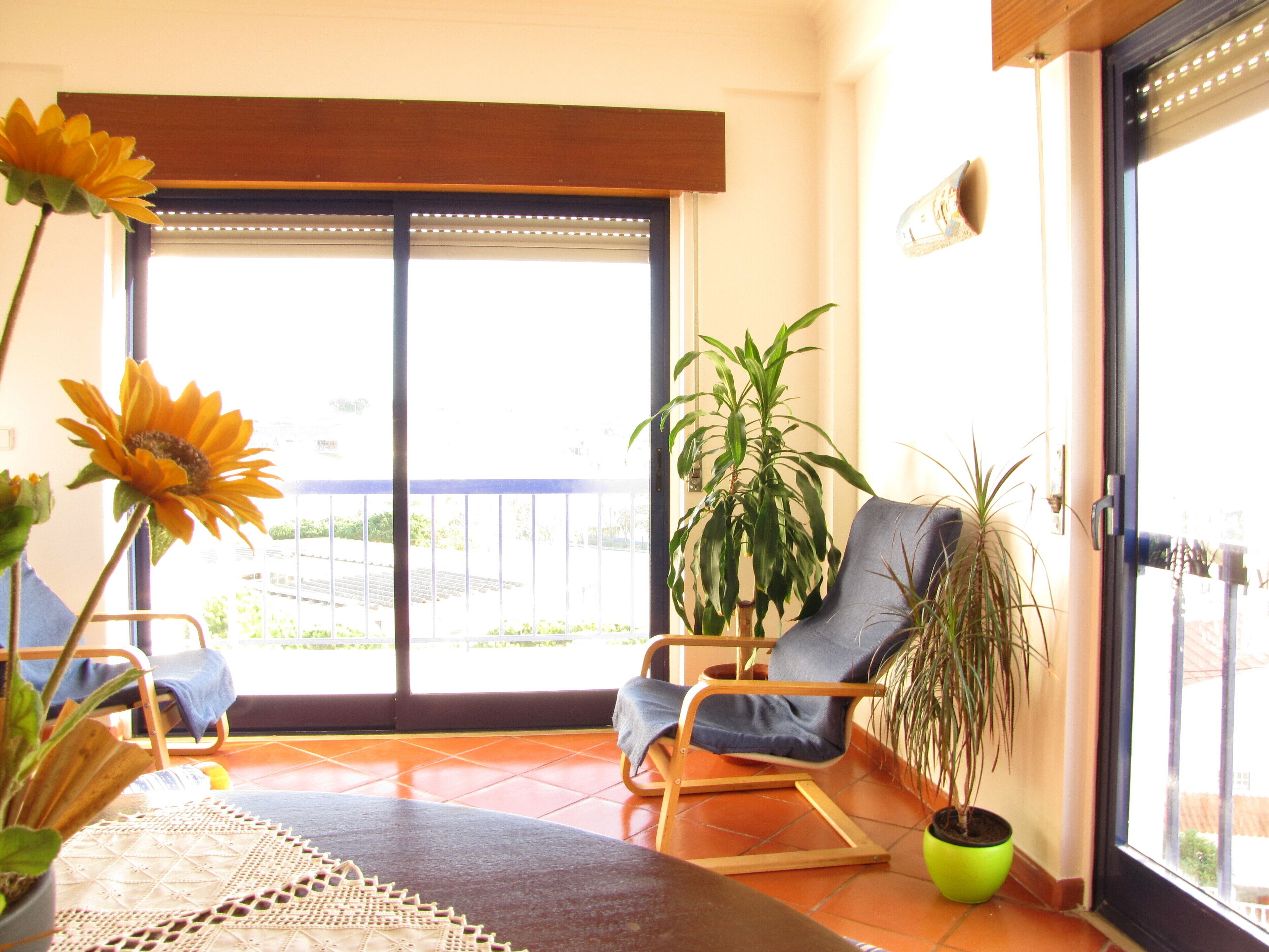 Friendly and Welcoming Apartment with a View