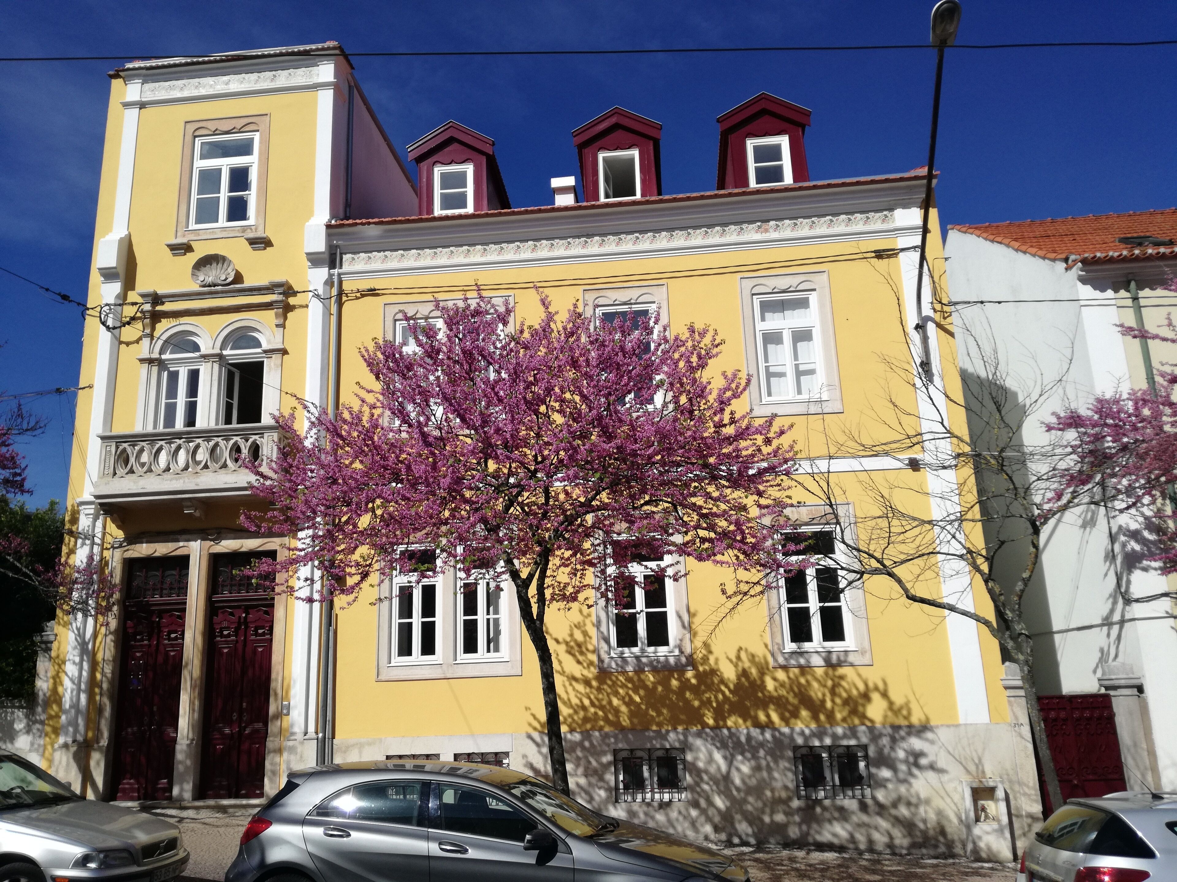 Studio 31 - Historic Center - Double or Twin Studio 