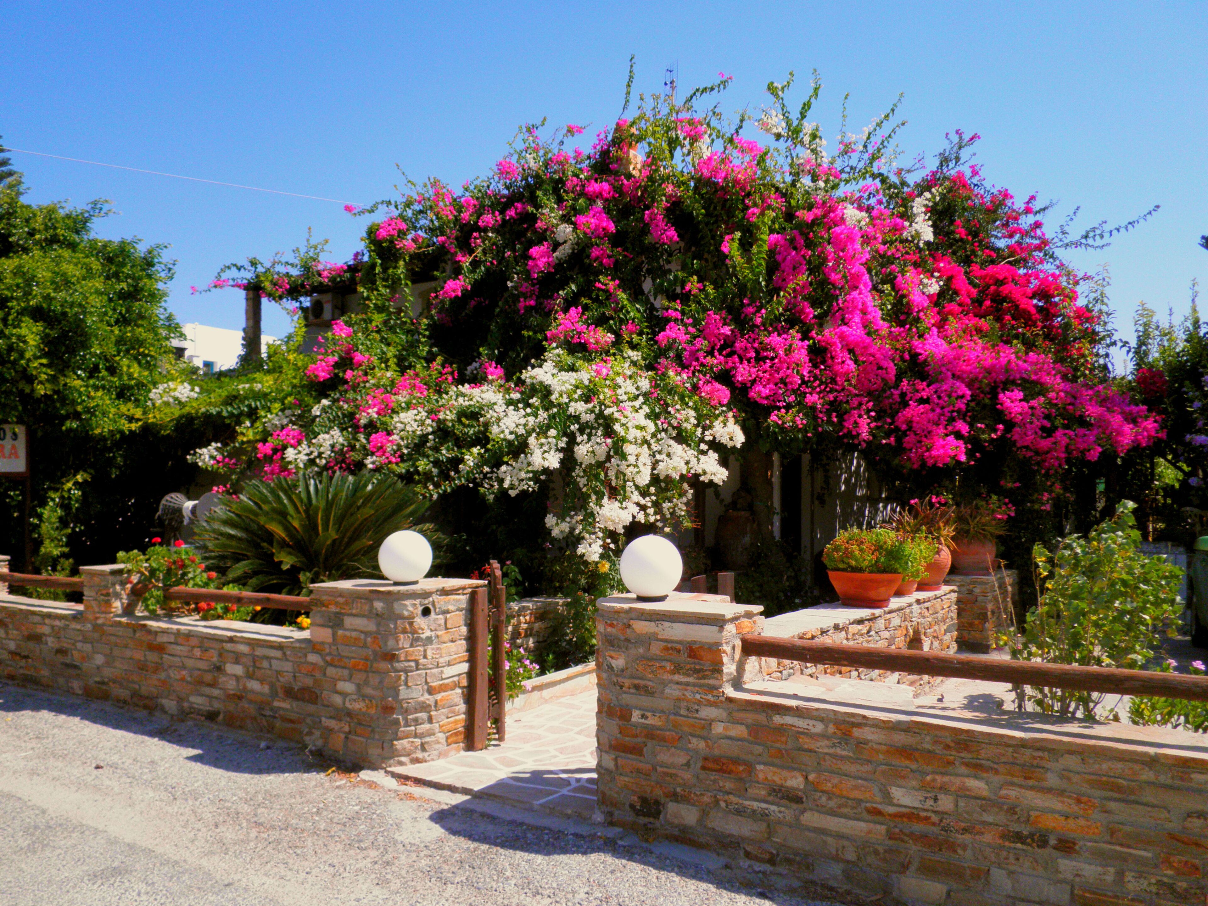 Dimitra Studios (Two Bedroom Apartment) ideal up to 4 people