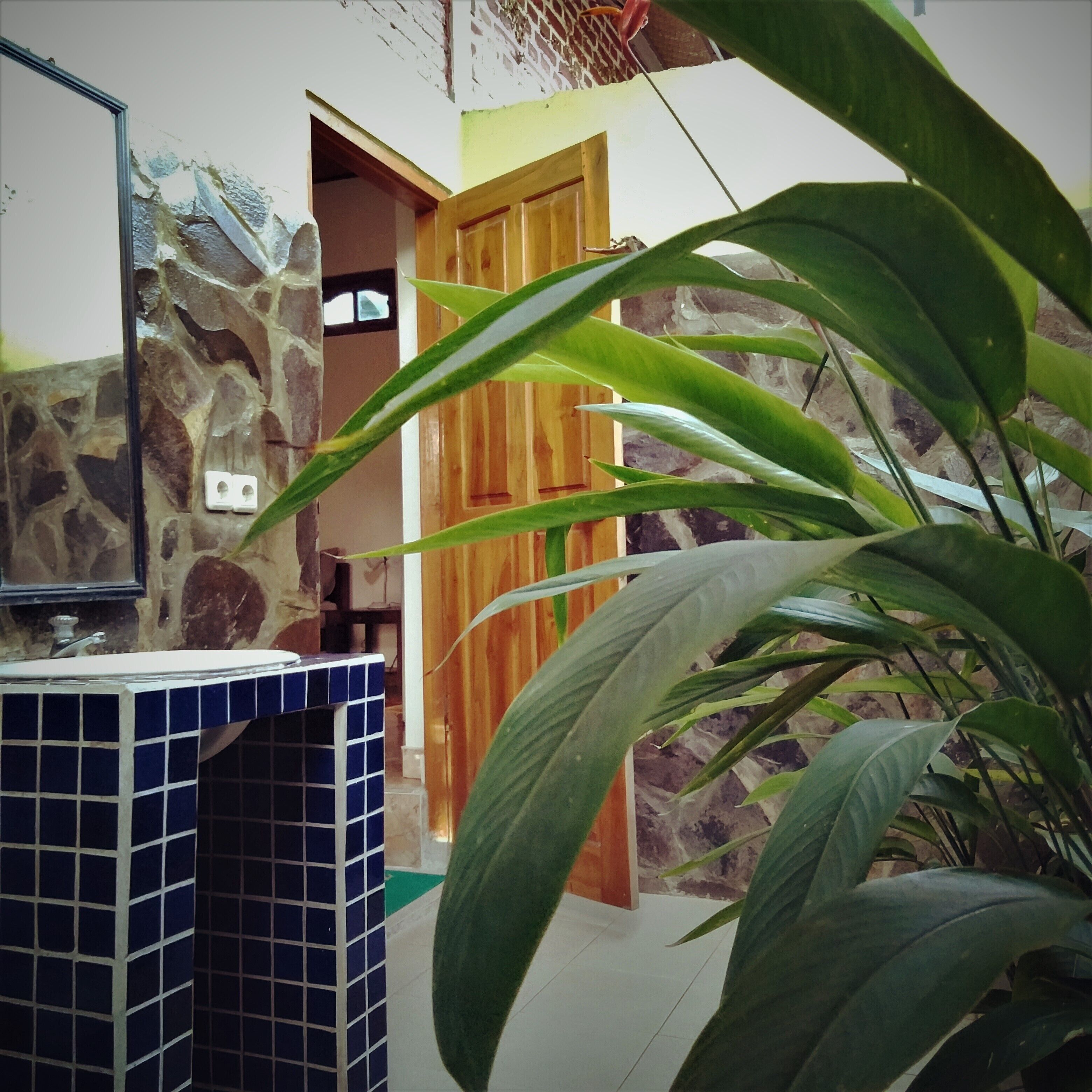 Huge room with open bathroom overlooking rice fields