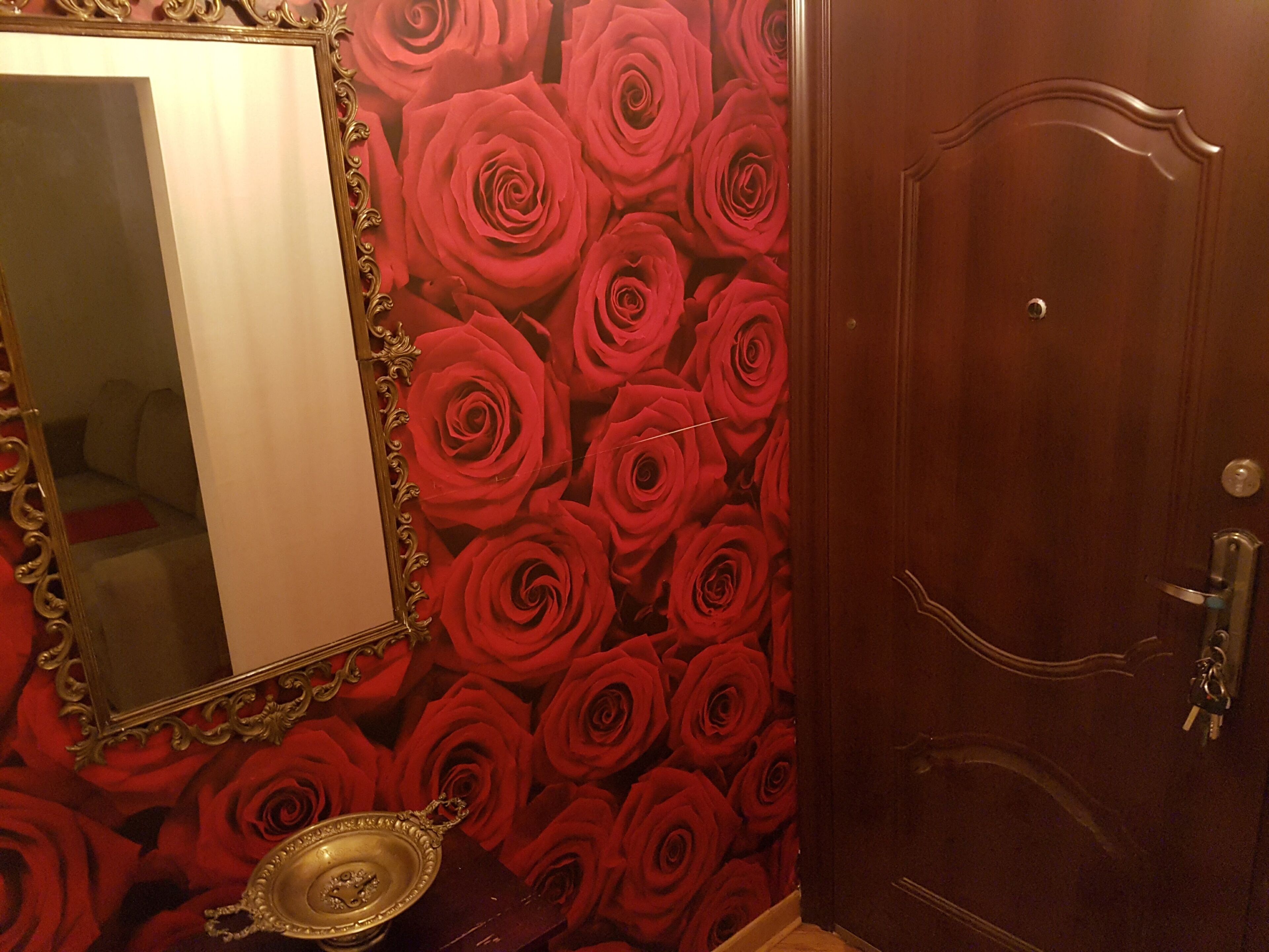 NEW and fully LUX apartment SLAVIJA