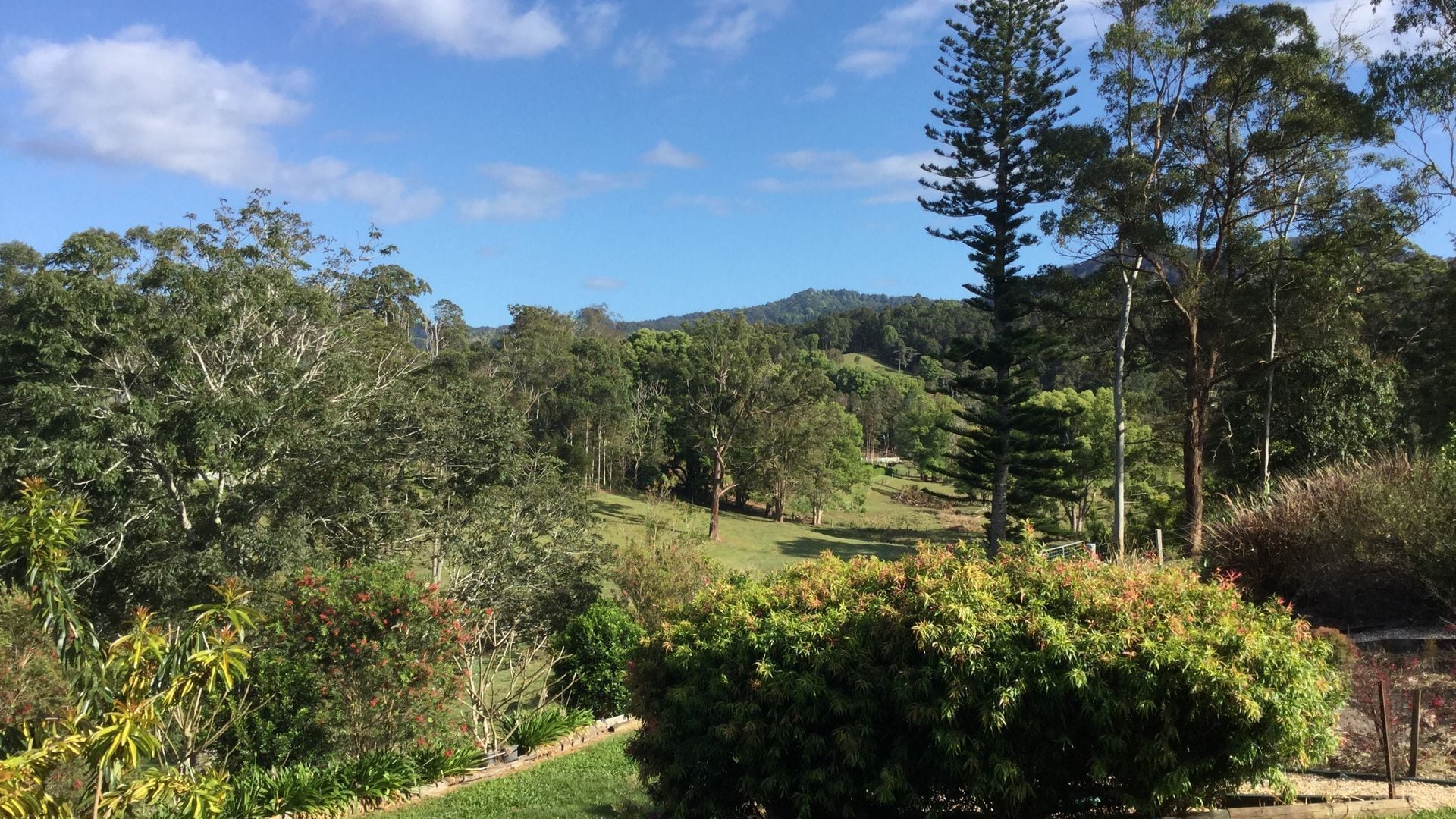 Ashcroft - fully self contained studio, pool, mountain views, Tweed Art Gallery.