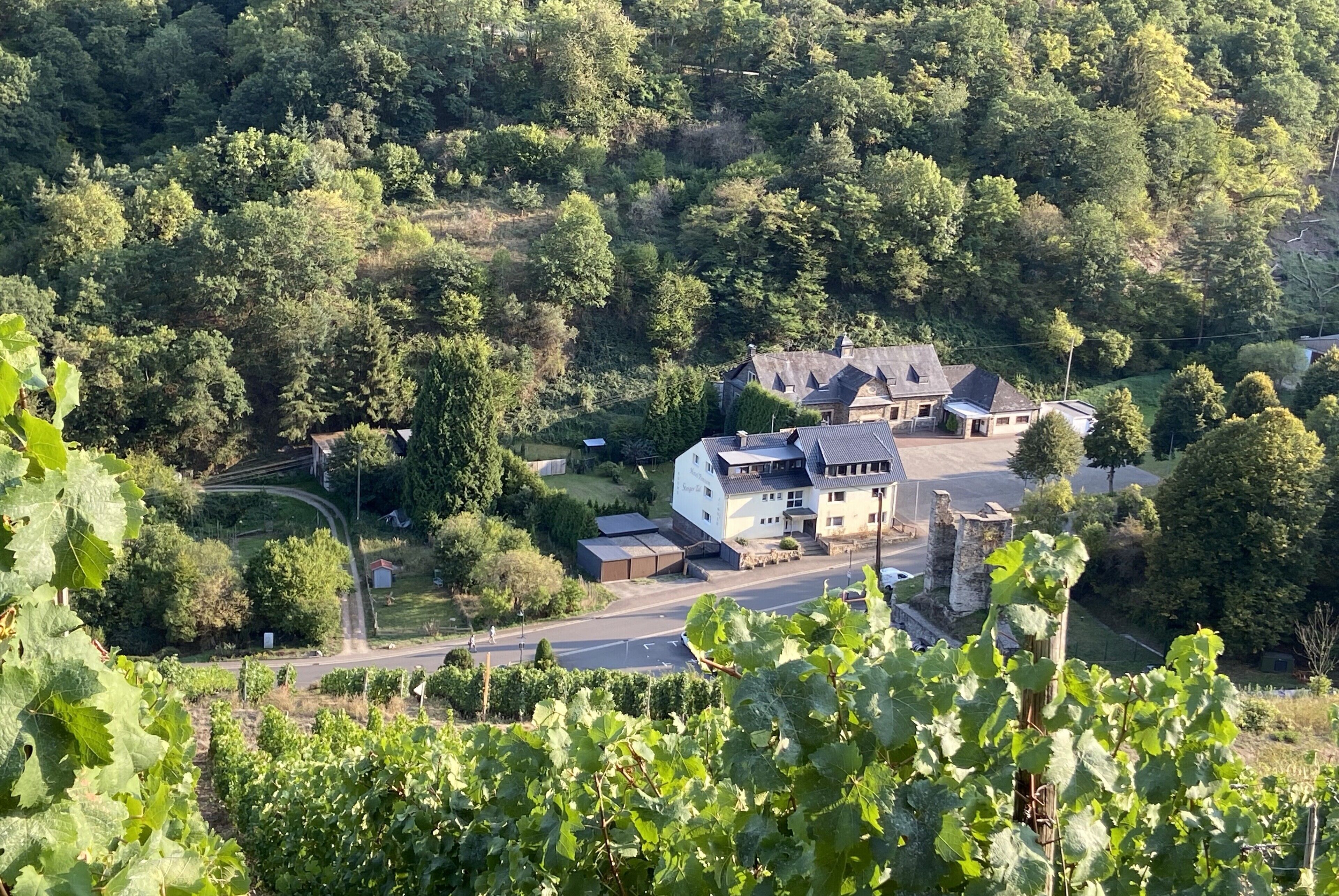 (g) Roosike vacation in Bacharach-Steeg, modern apartment in the countryside