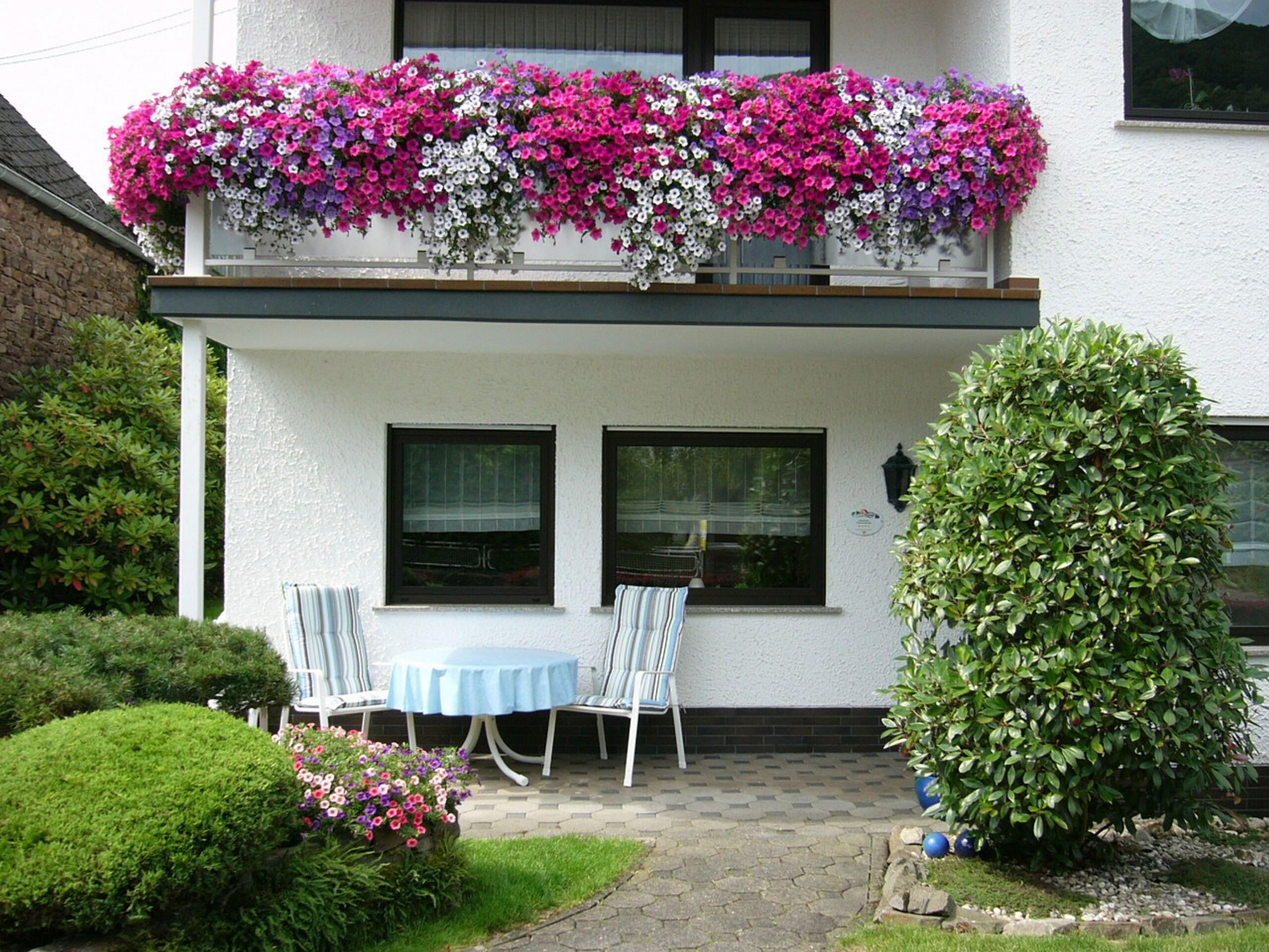 High quality ground floor apartment **** in Senhals near Cochem-Mosel