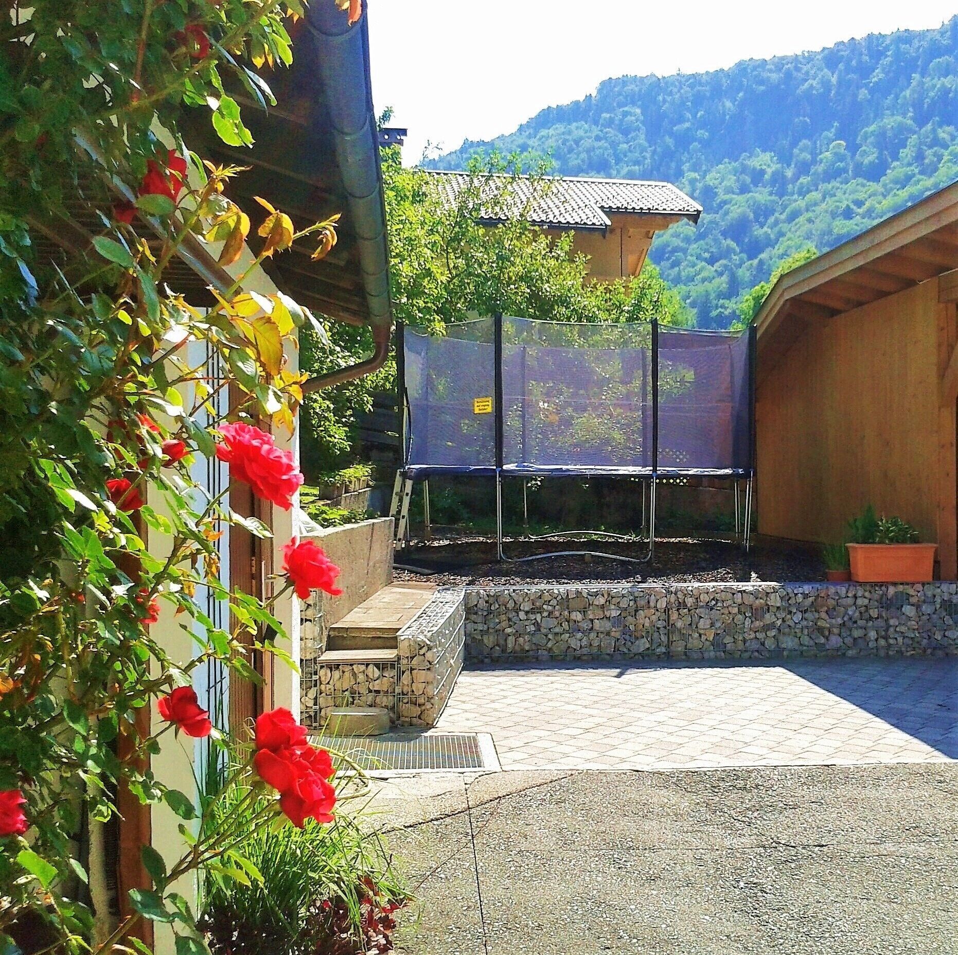 Bergheim comfort holiday apartment "Morgenrot"