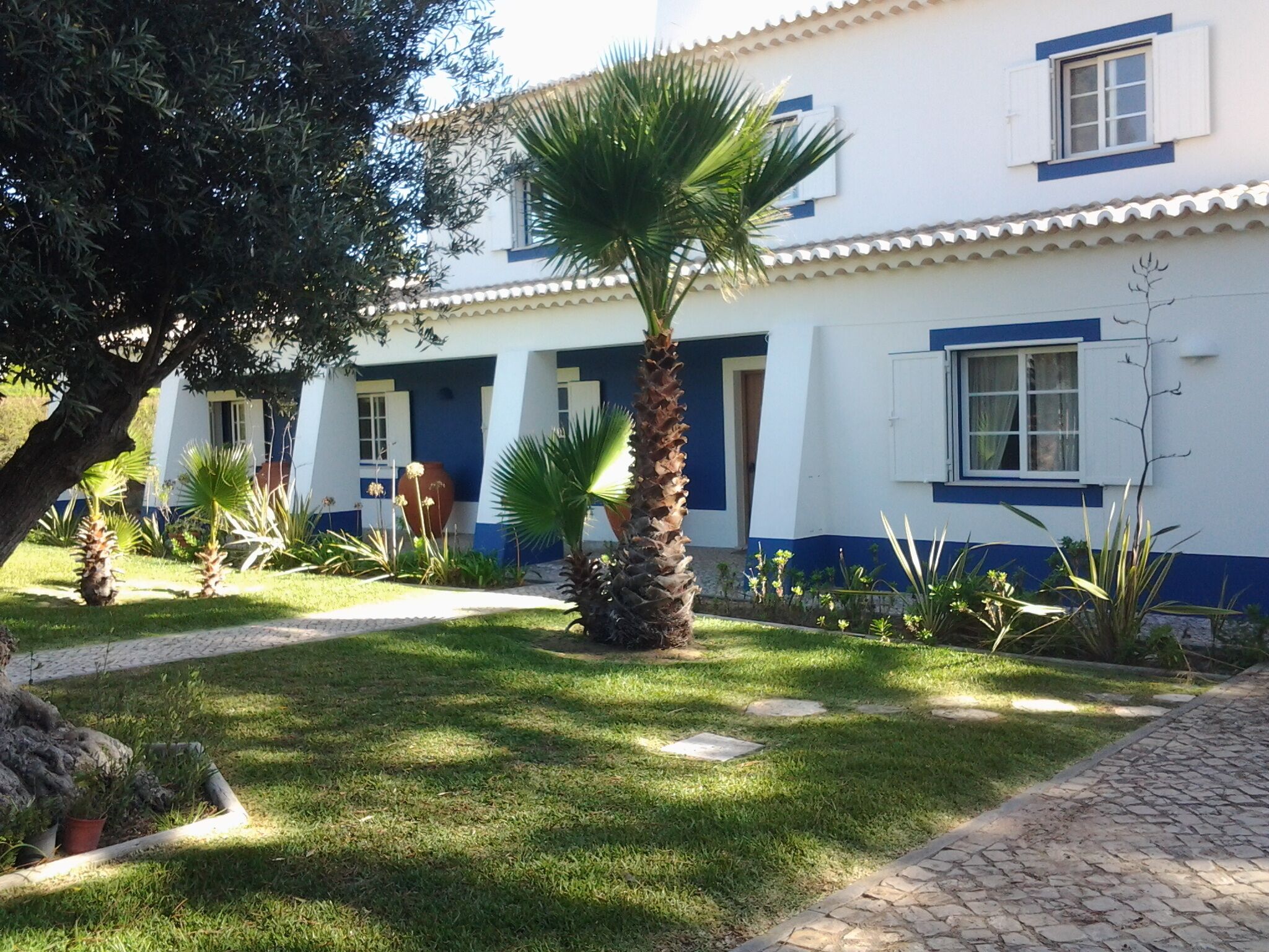 Study in Casa Vicente