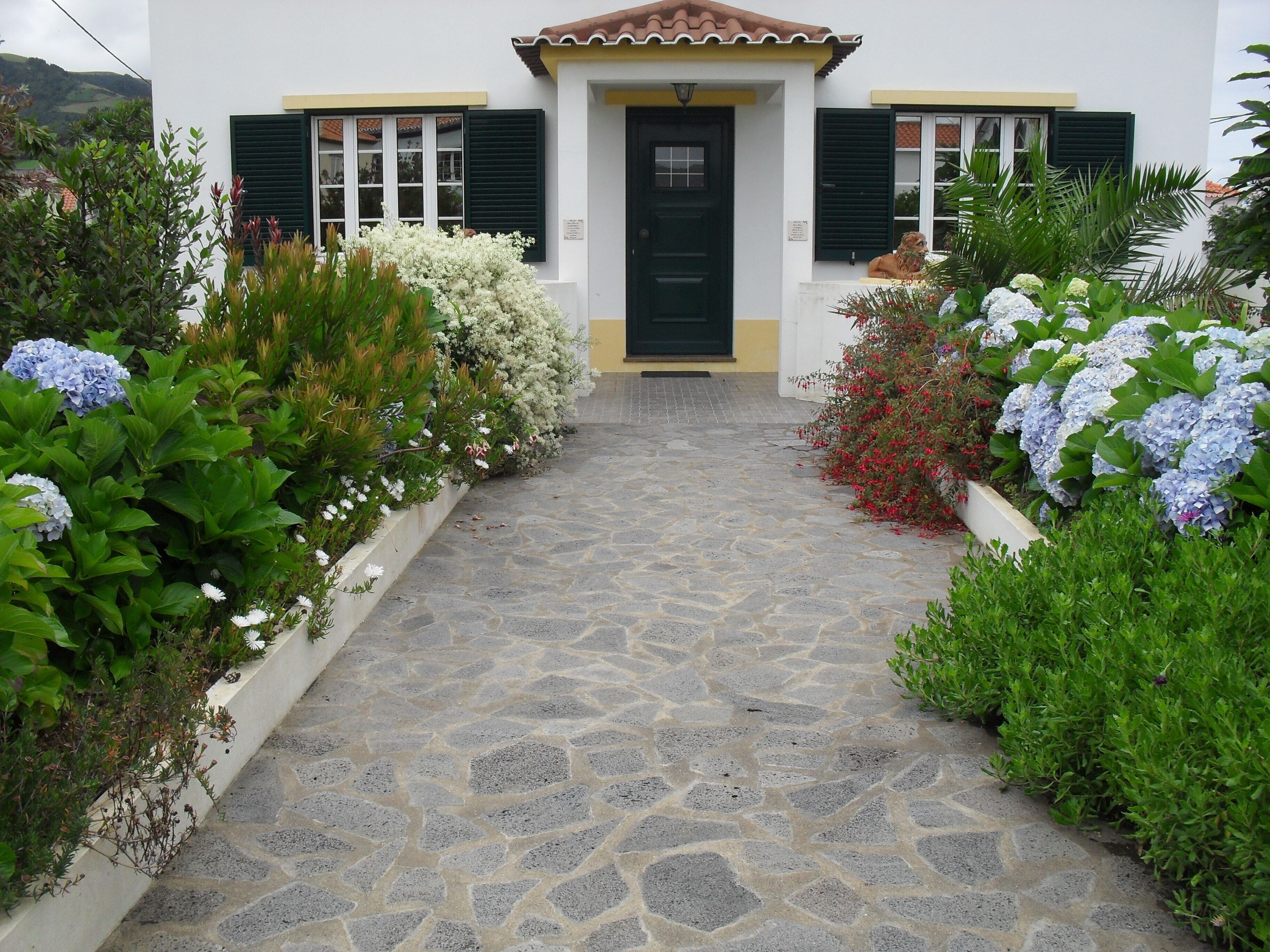 Casa Avó Inês - Apartment Azálea 