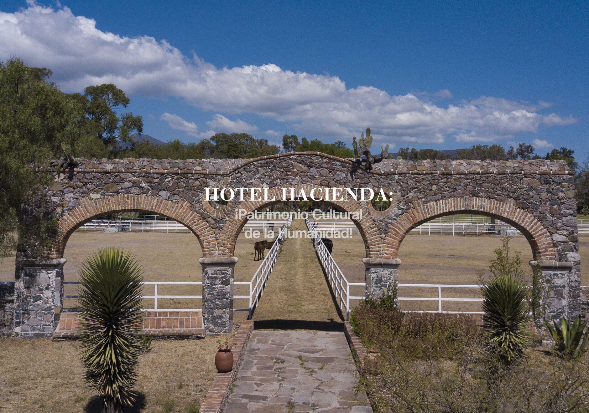 Royal Silver Inn Standard Single Room II