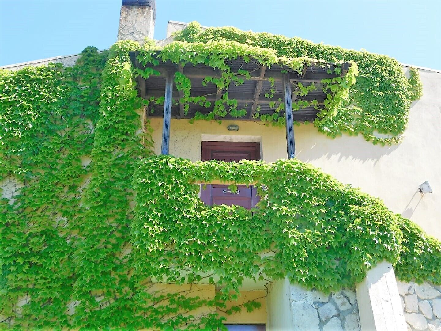 Amazing apartment near the sea