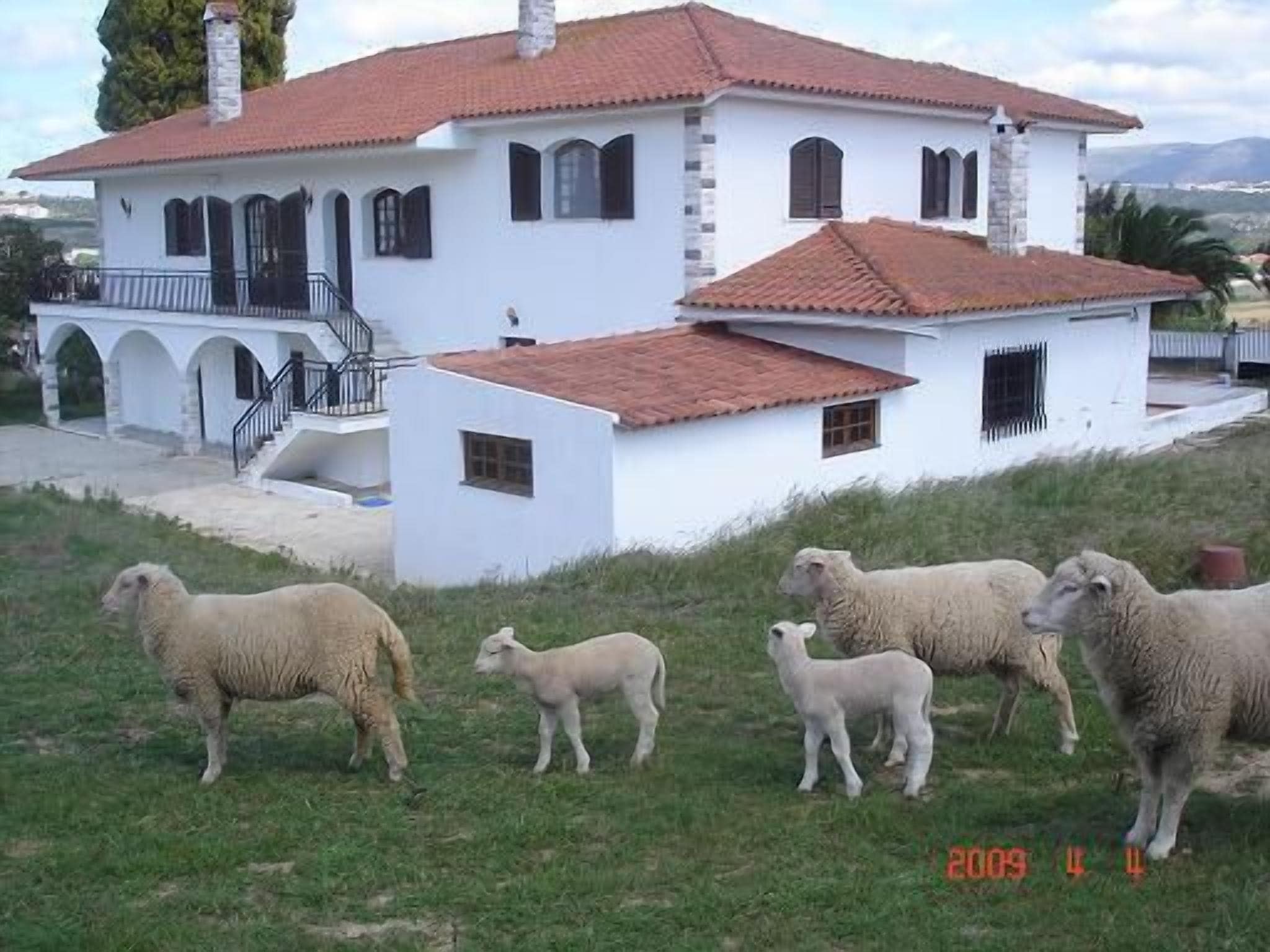 Alcobaça around Praia S. Martinho do Porto and Nazaré - Apart3Bedrooms5/8 Pax-floor 0