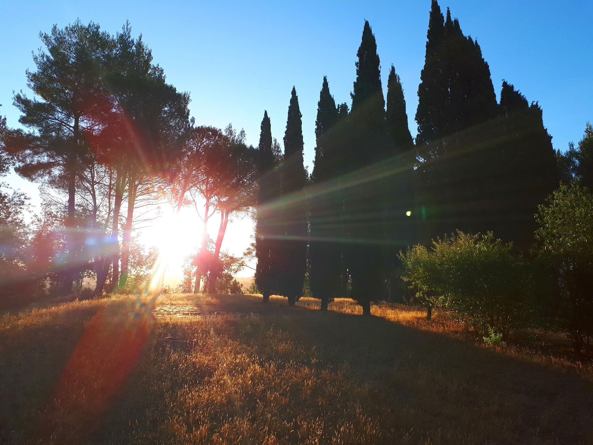 B&B Casa Divina in the province of Pisa - DEVOTION ROOM
