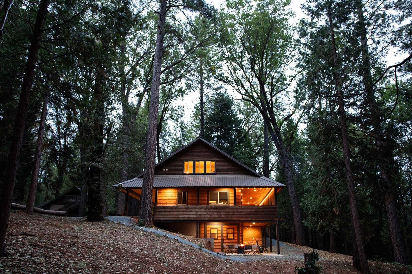 Charming, cozy cabin on 150 private acres! Beautifully appointed, pet-friendly!