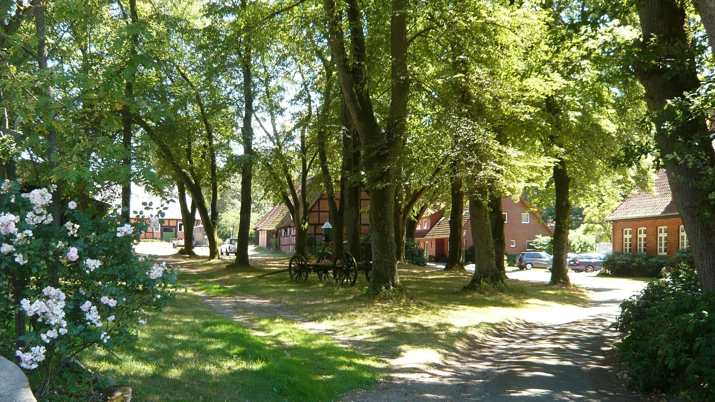 Picturesque farm in the Lüneburg Heath, holiday apartment, pony rides
