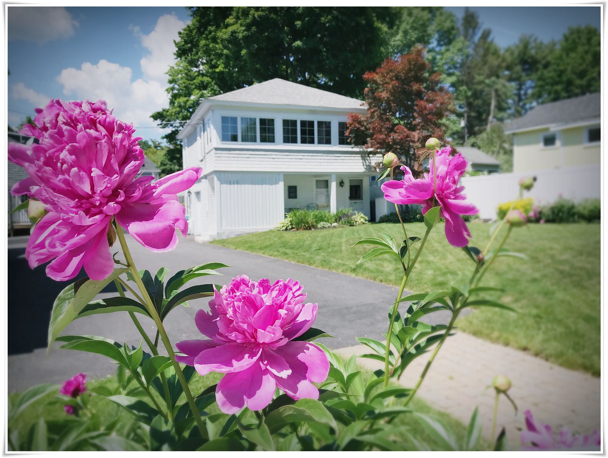 Carriage House Studio with Beautiful Pool in the Heart of Ogunquit