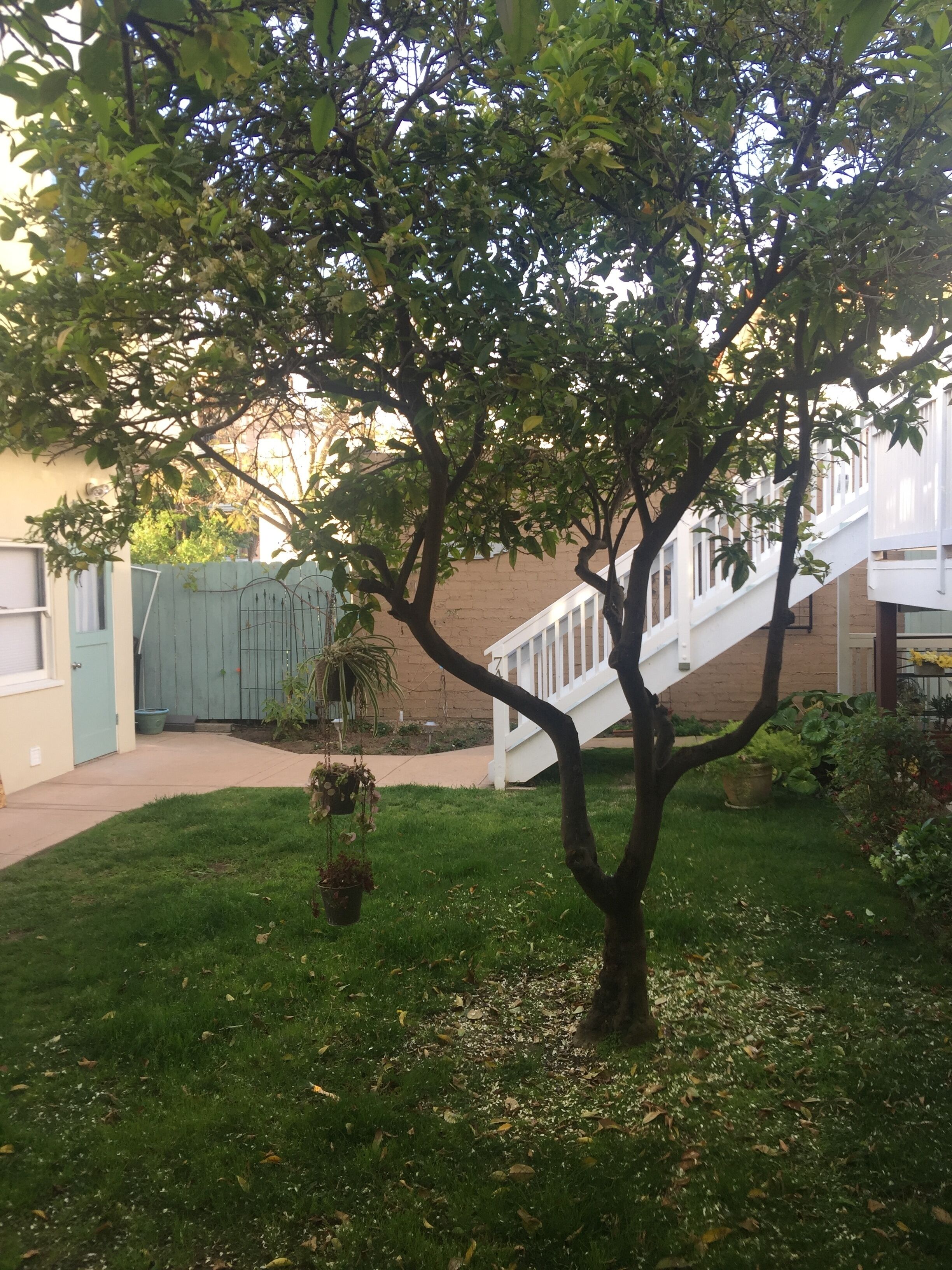 NEW Coronado Village Condo. Early departure discount. 