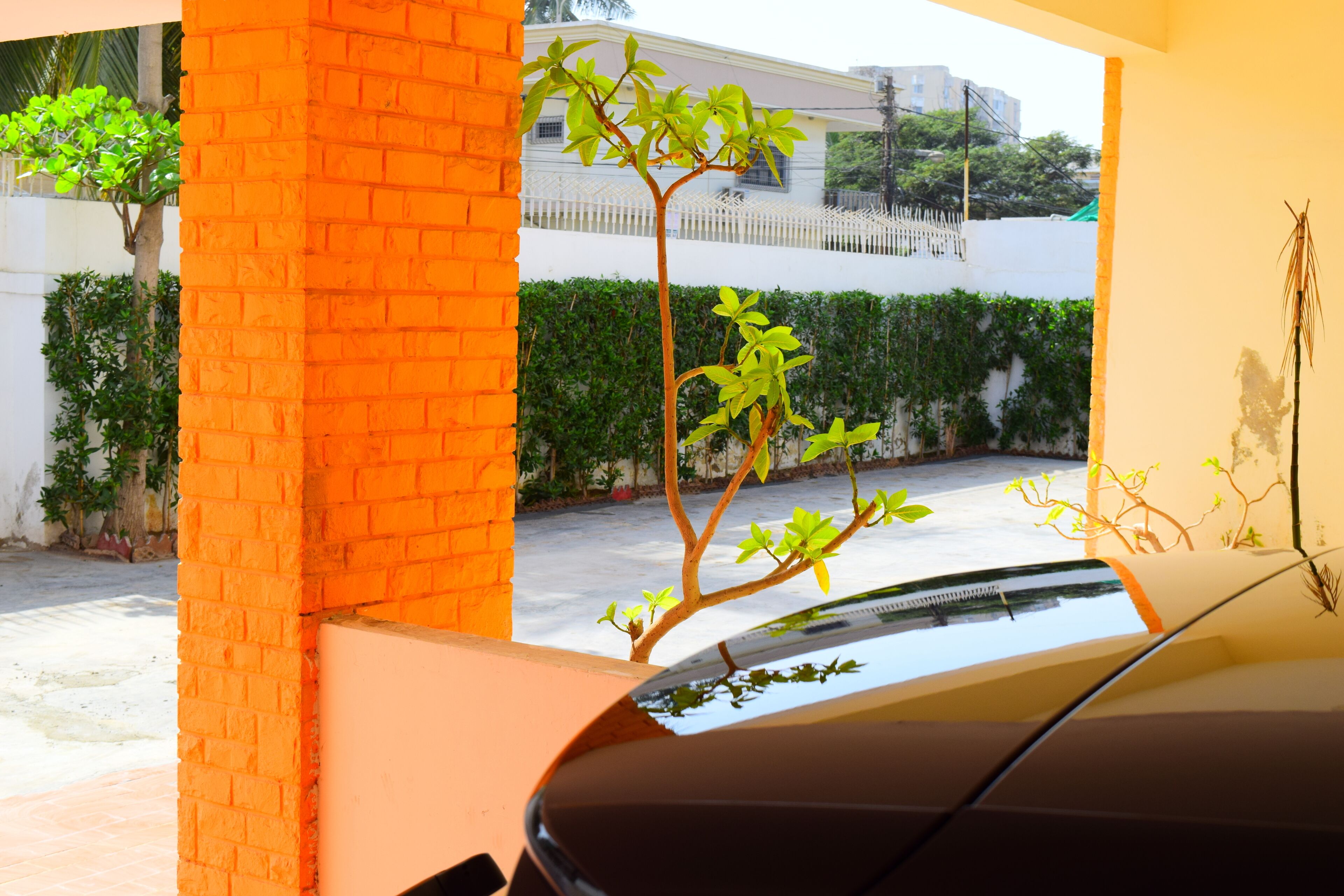 Clifton Guest Houses