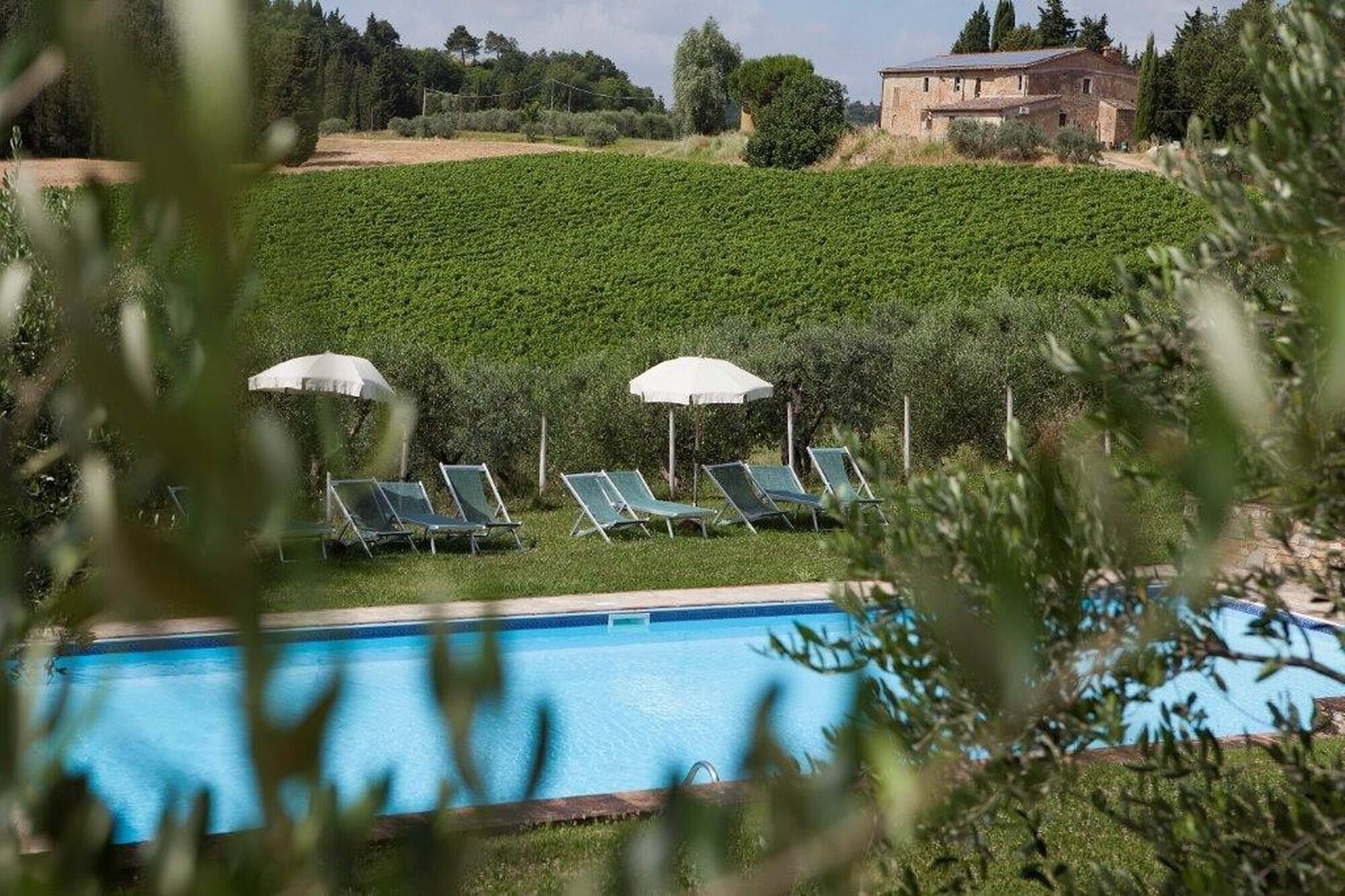 Flat in a winery in Montespertoli, Wi-Fi, swimming pool,children friendly,Gia