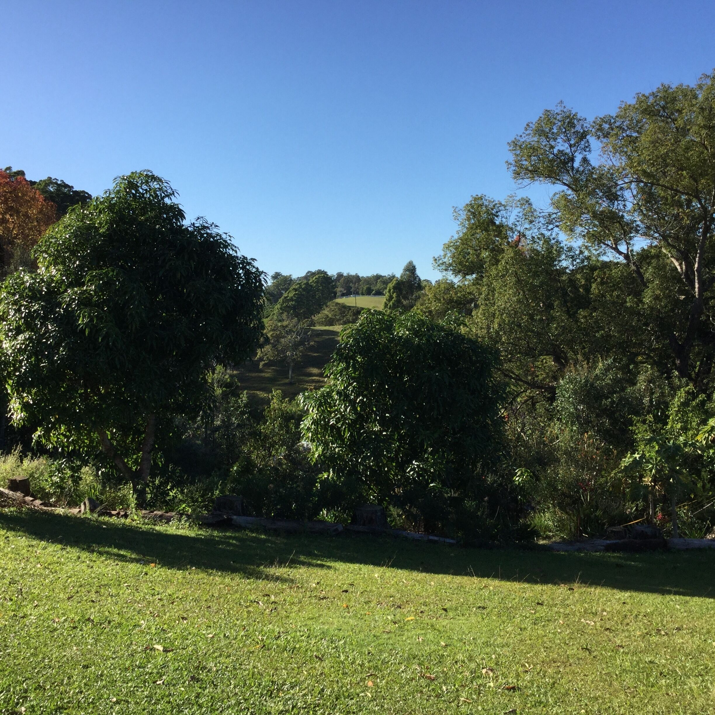 Beechcroft-self contained 1 bedroom apartment, sleeps 4, beautiful valley views.