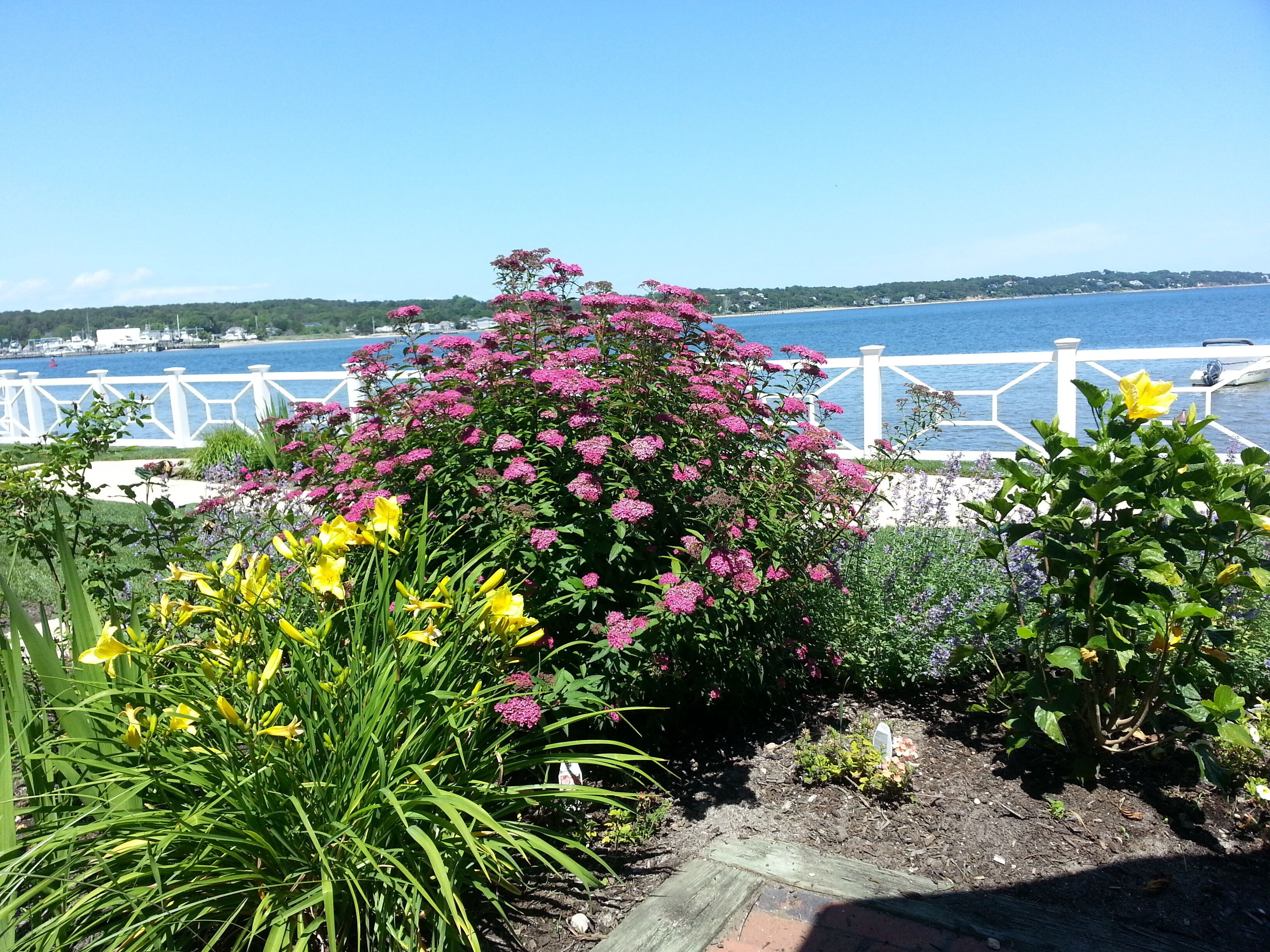 A Unique  Piece of Paradise, Water Front pool on Shinnecock Bay