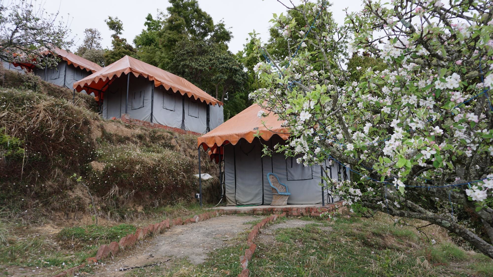 Camp Garden Kanatal