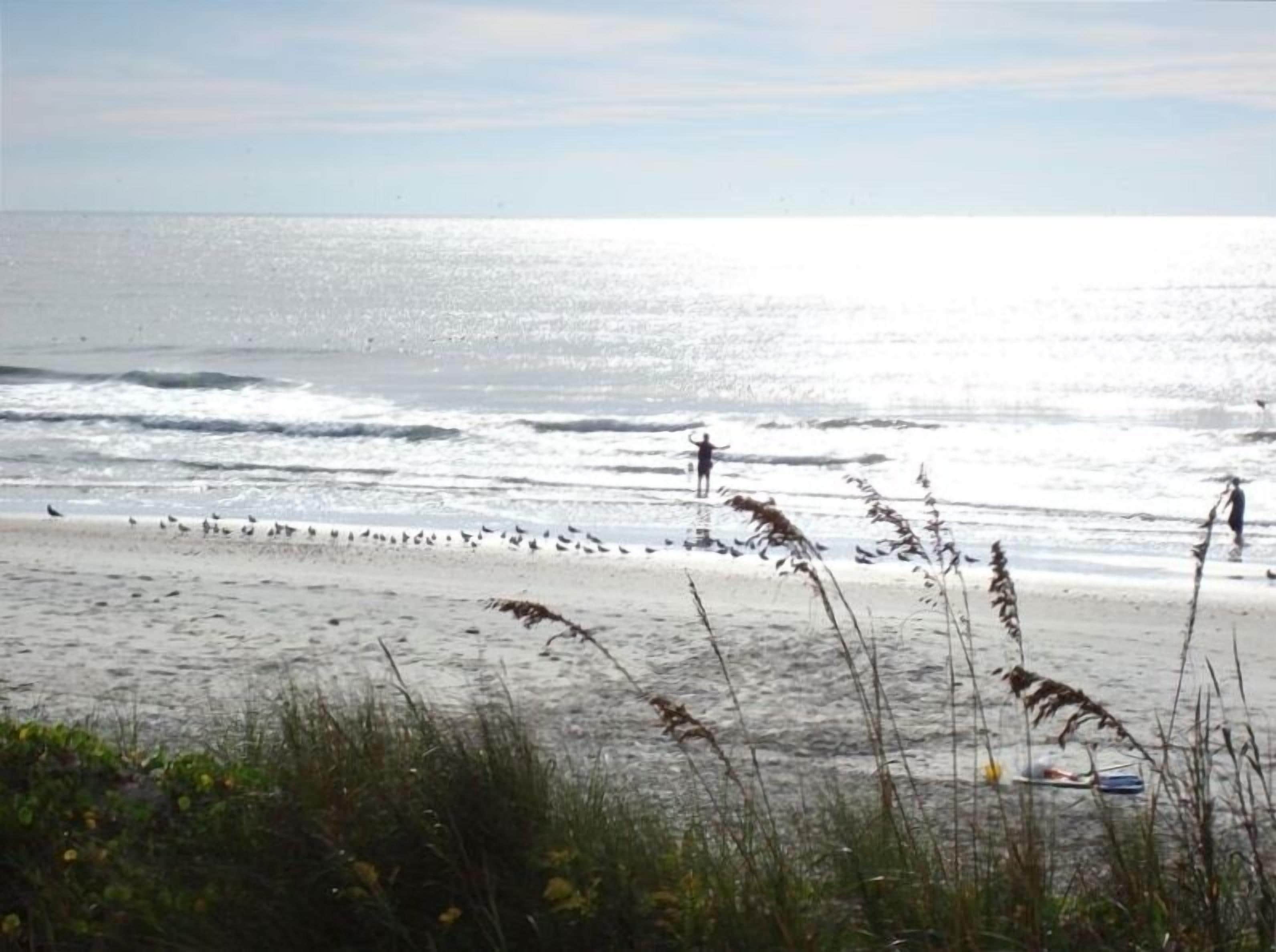  Oceanfront condo.  Enjoy sun rises and watch the shrimp boats and dolphins