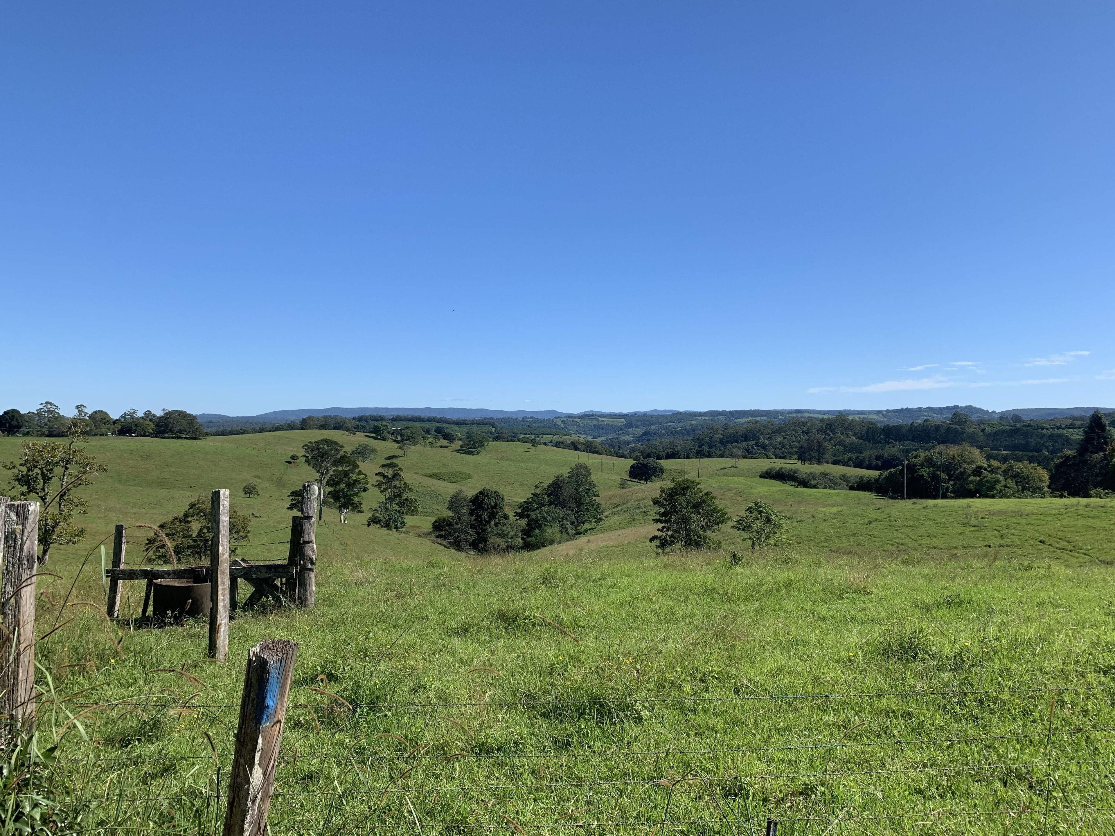 Nightcap Park, beautiful Byron Bay Hinterland