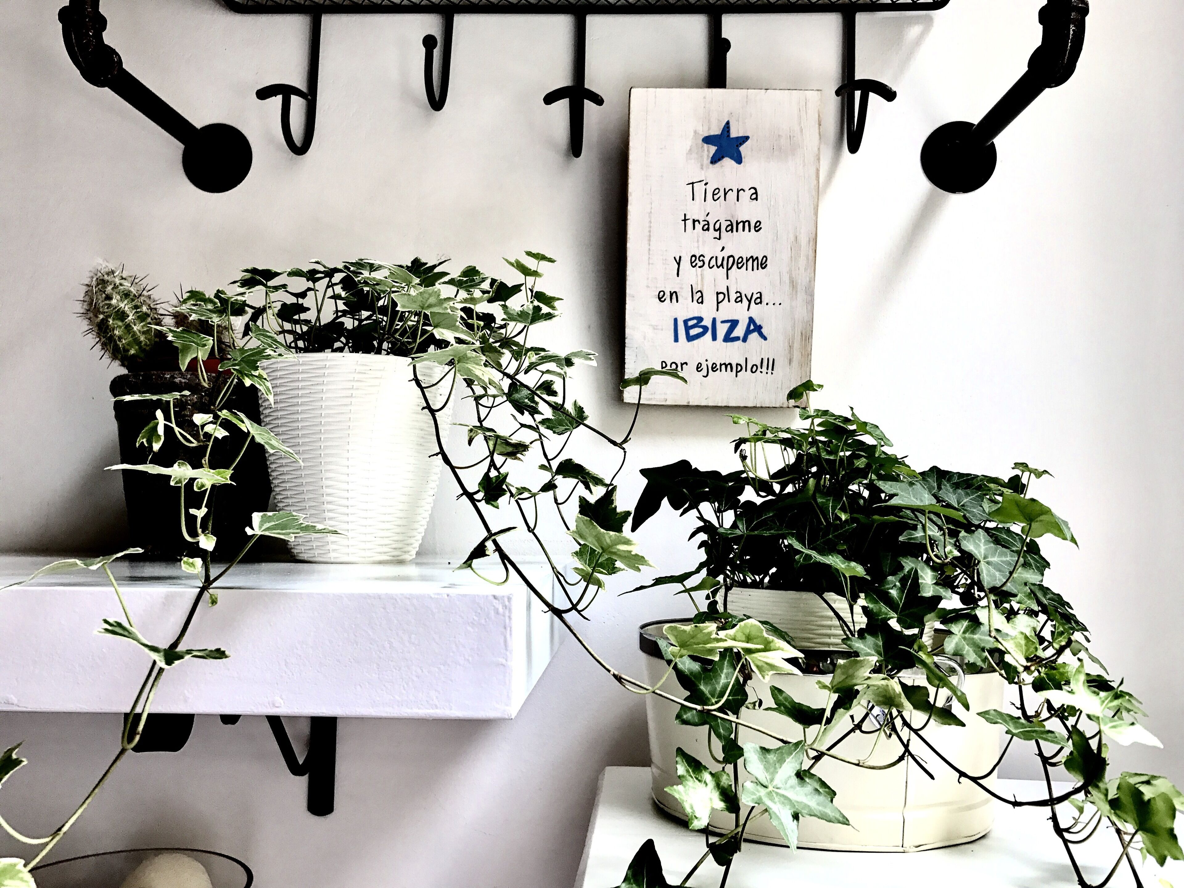 BEAUTIFUL JULY IN PERUGIA HISTORIC CENTER