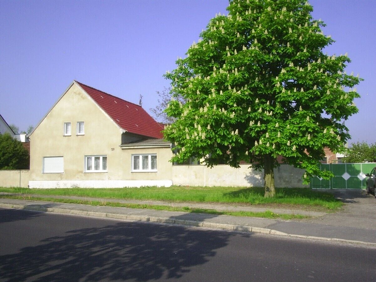 2 apartments in the country, good city location and local transport links