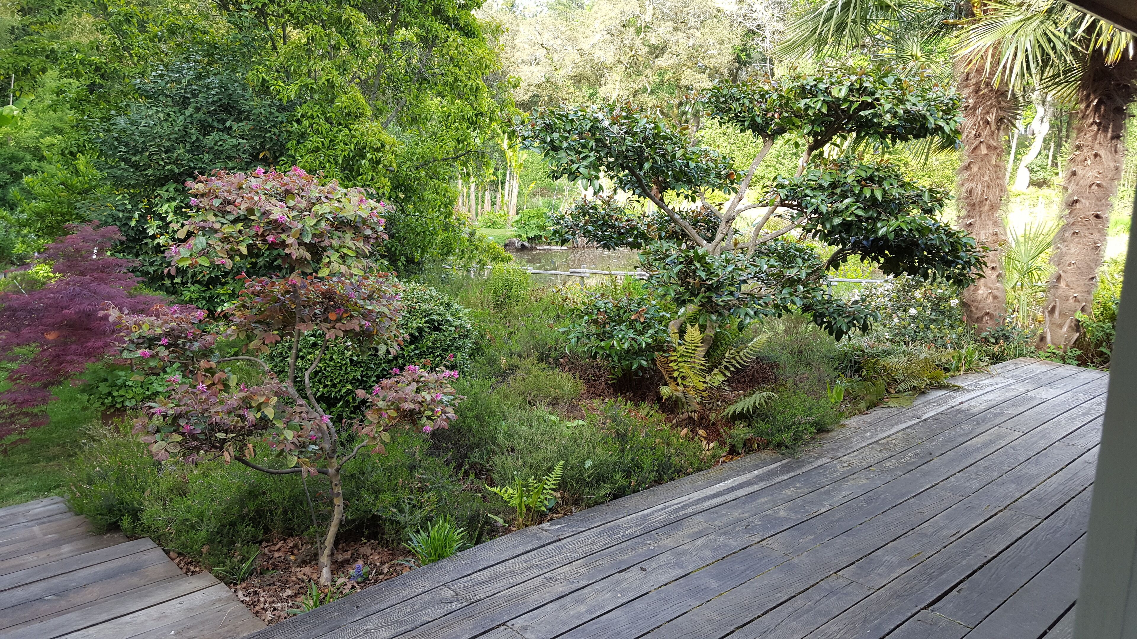 Studio surrounded by nature