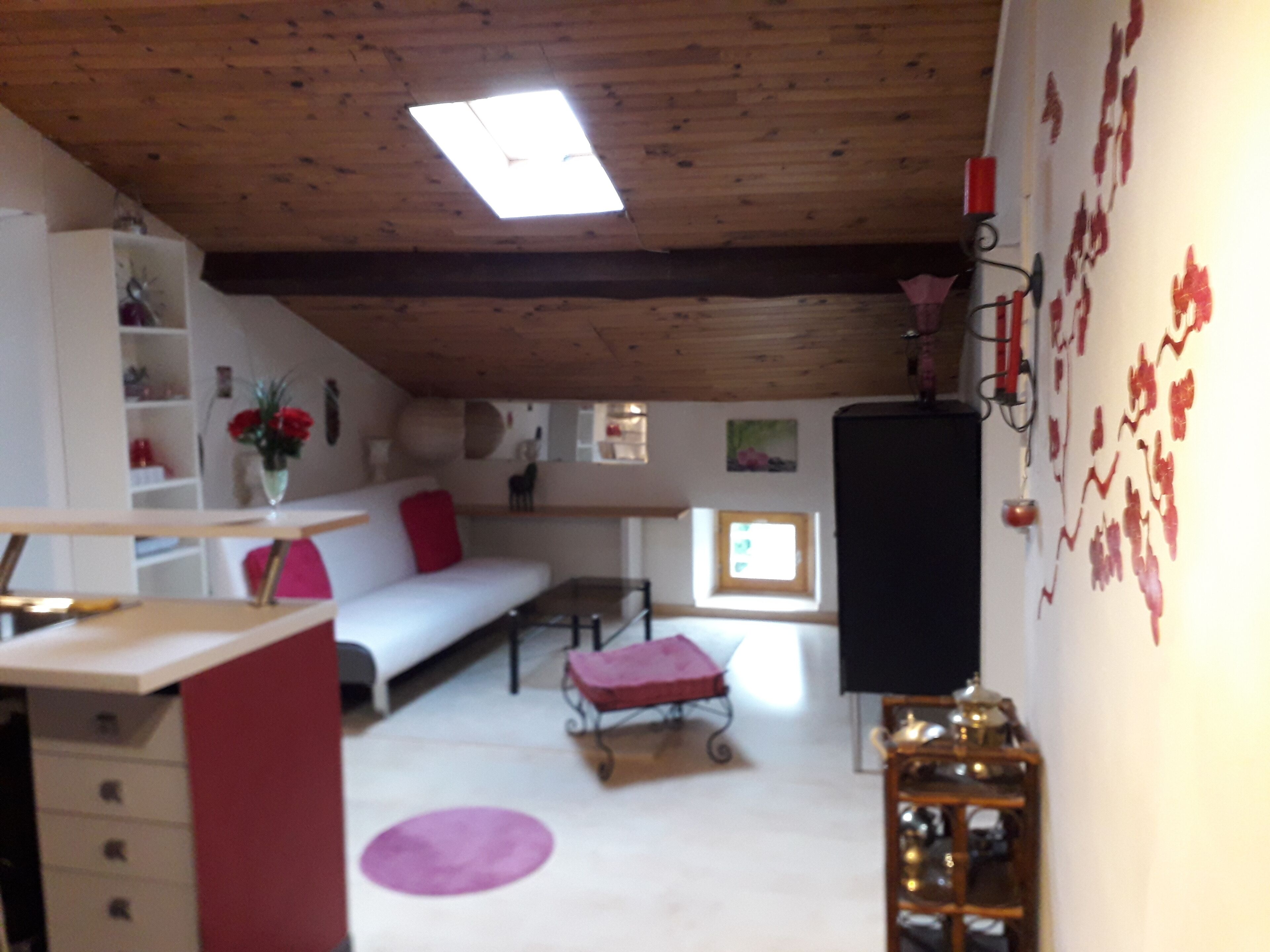 T 3 attic in character house