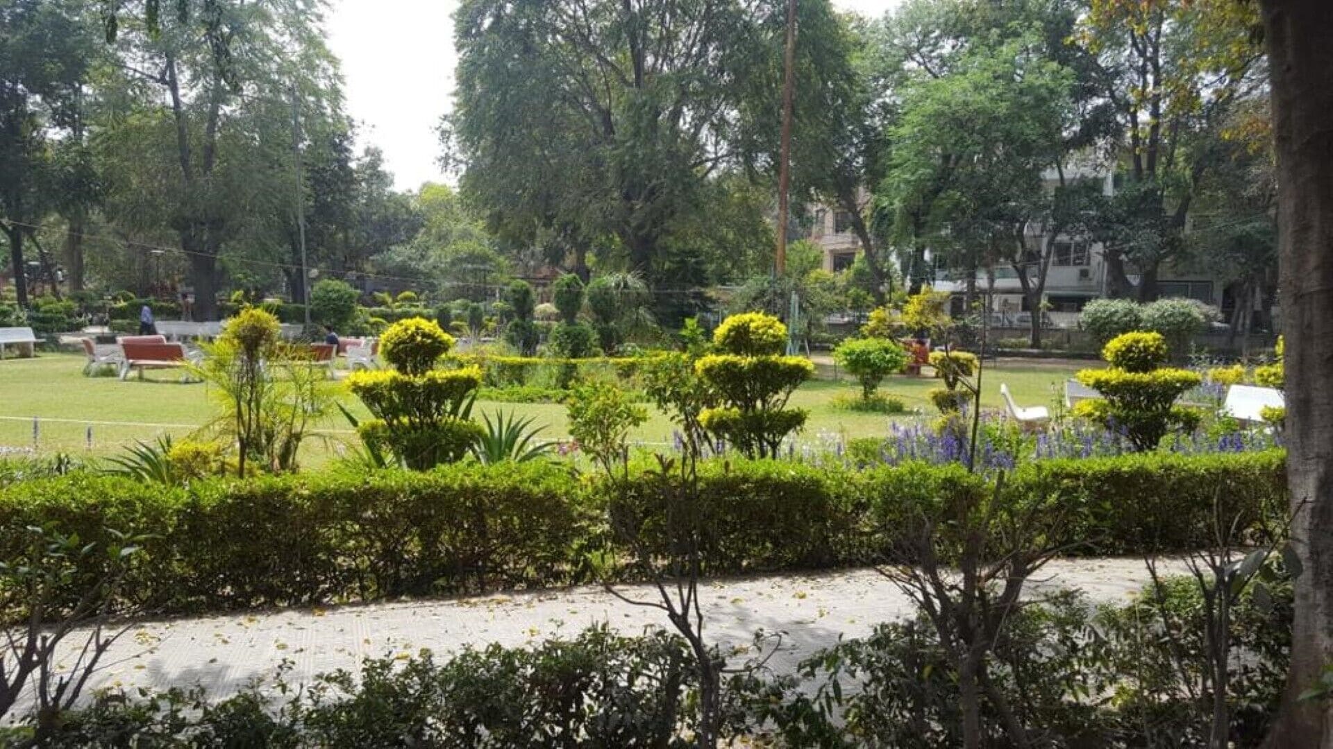 PG Nestaway- Budget Single Room