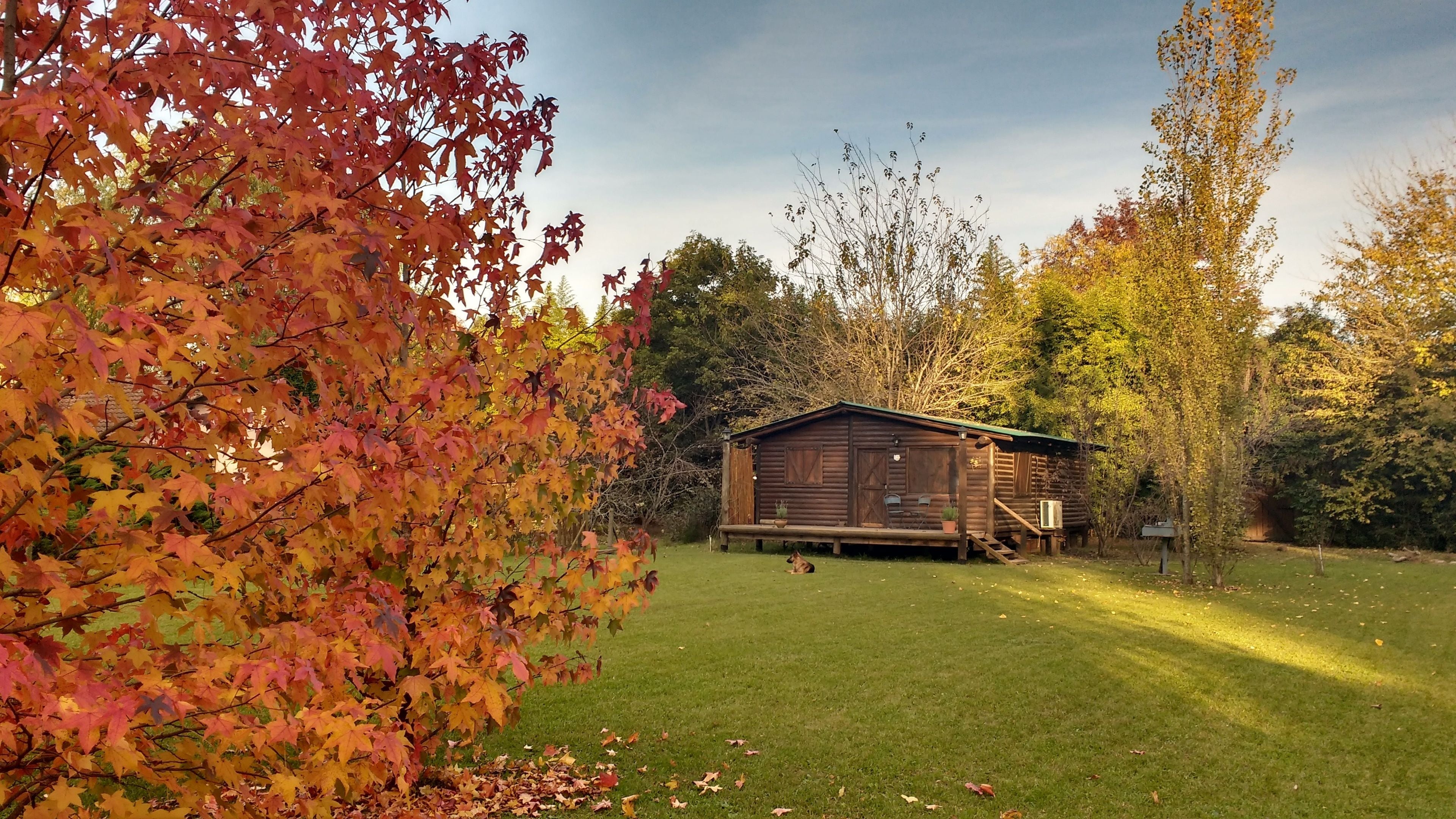 Cabañas Las Lavandas en Pilar