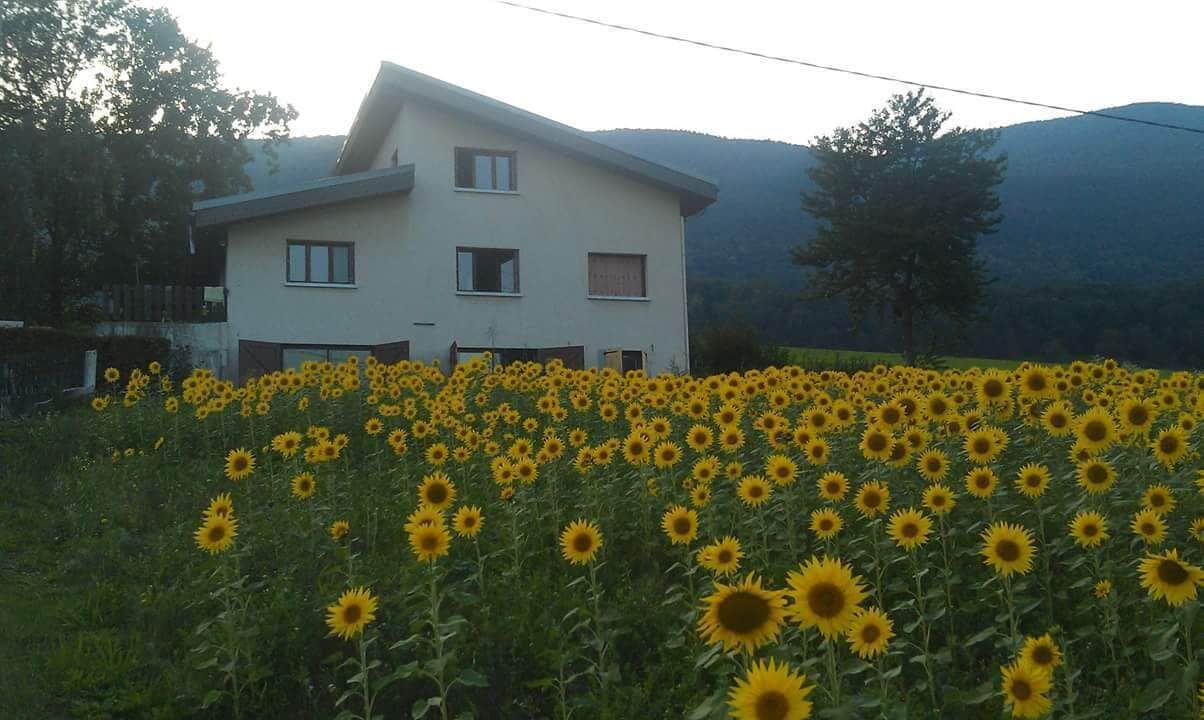 Small apartment homestay