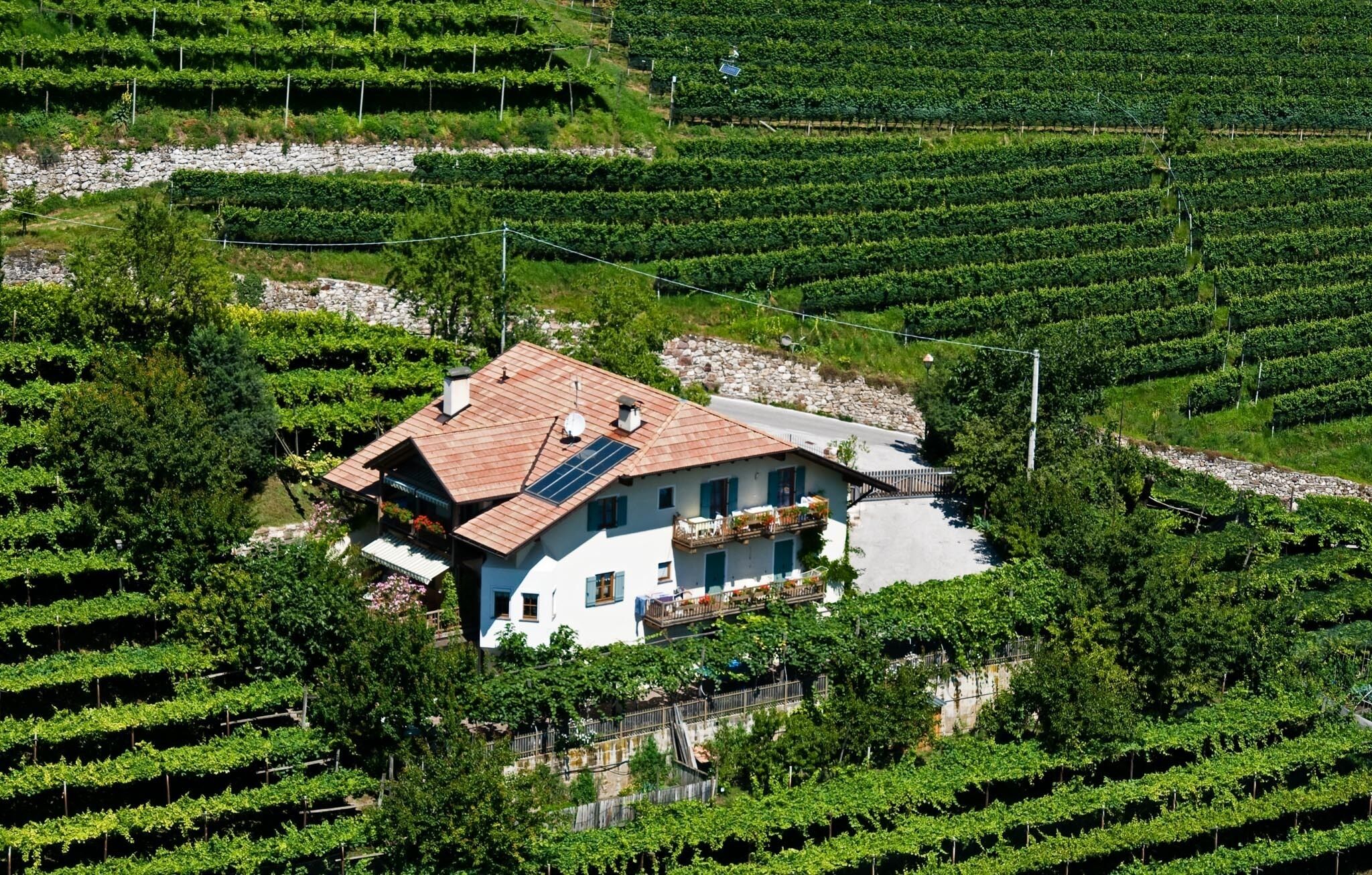 Apartment in top location