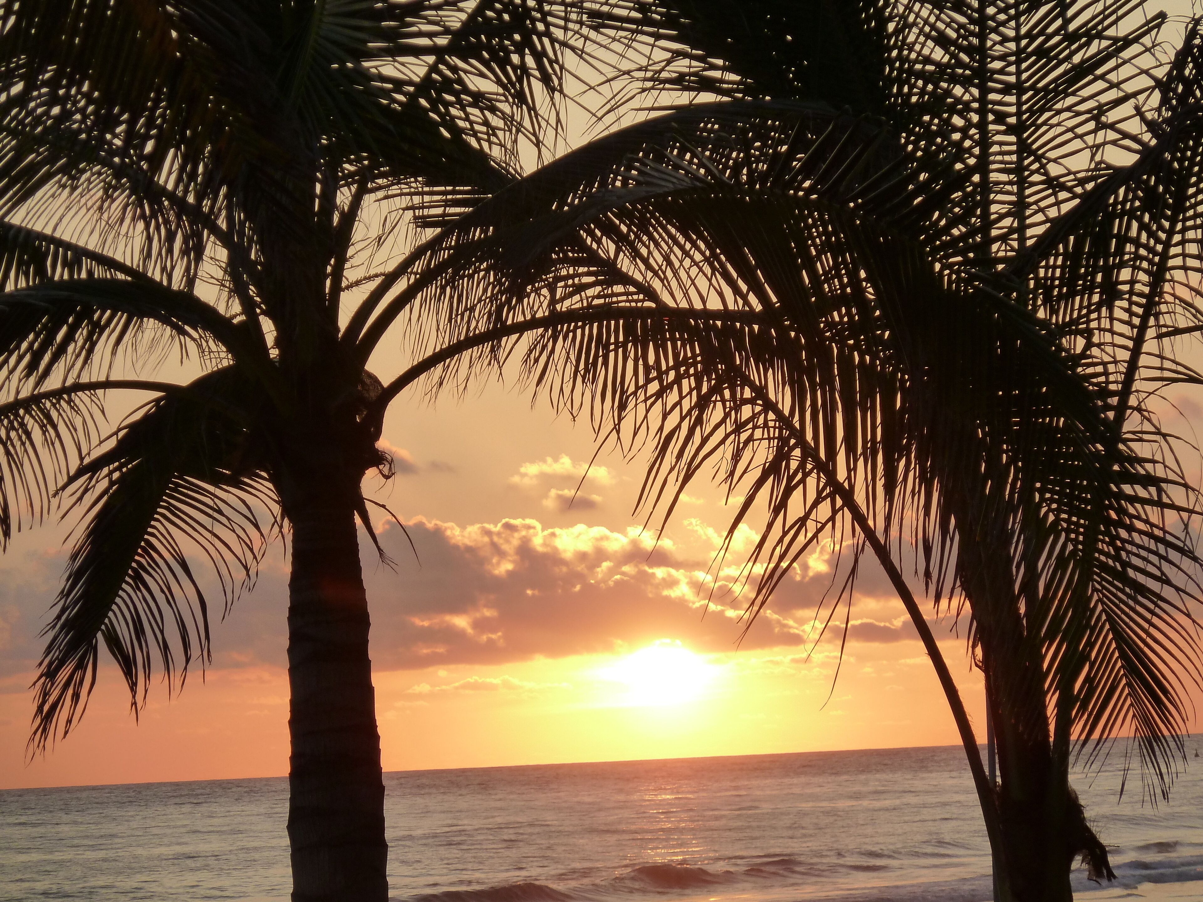 Bvg Marina Luxury Condo Ocean View - a Sight to Be Seen