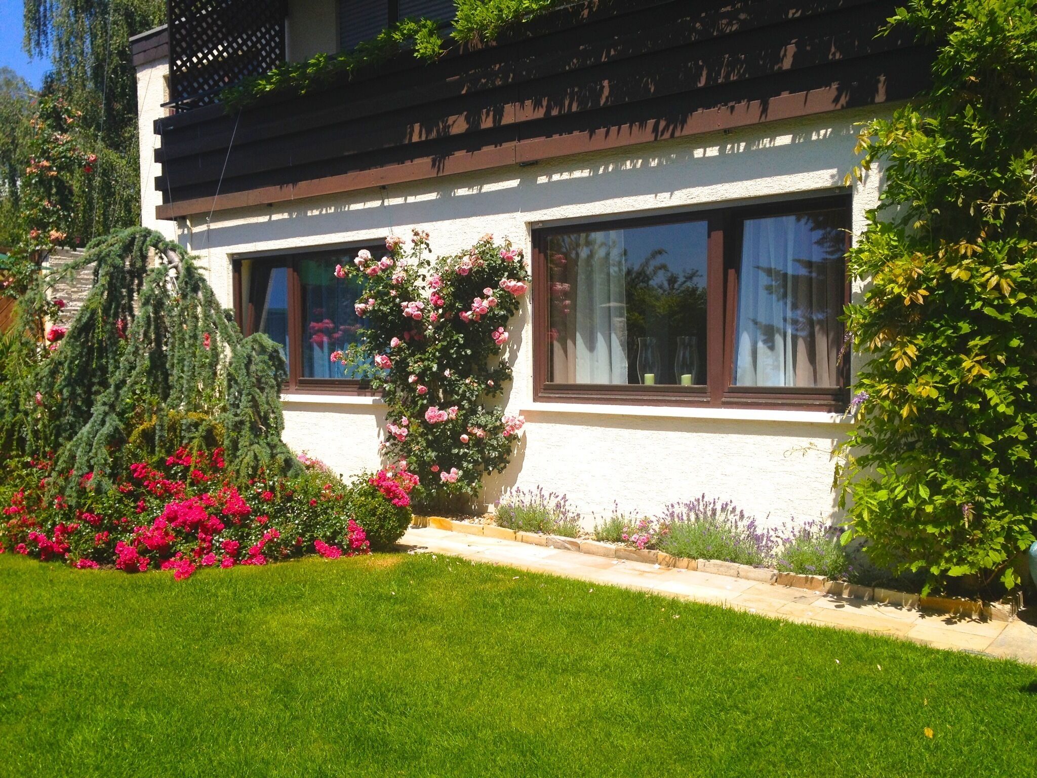 Individual living in a quiet, sunny slope of Baden-Baden (Close to City Centre)