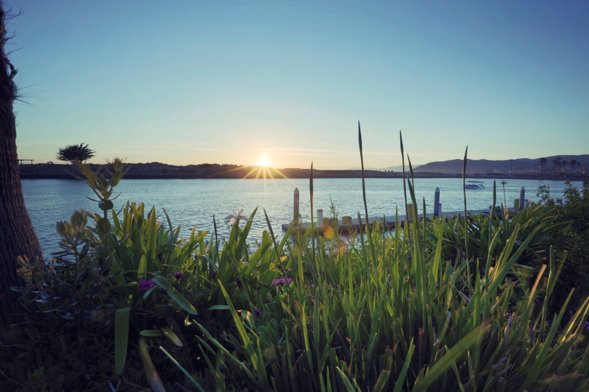 Pacific Coast Vacation on the Beautiful Ventura Coast of Southern California