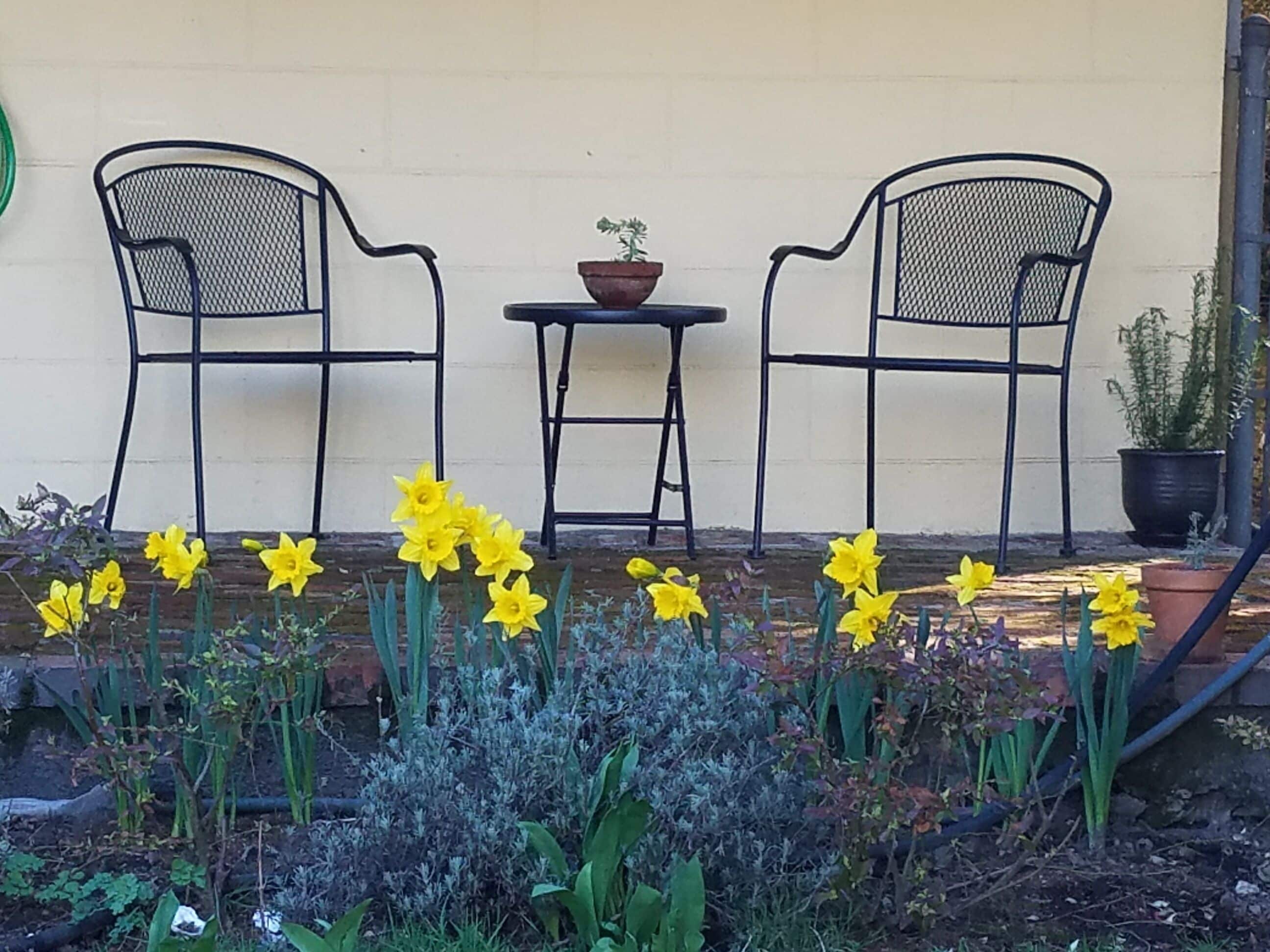 Executive Suite on Top of Queen Anne Hill