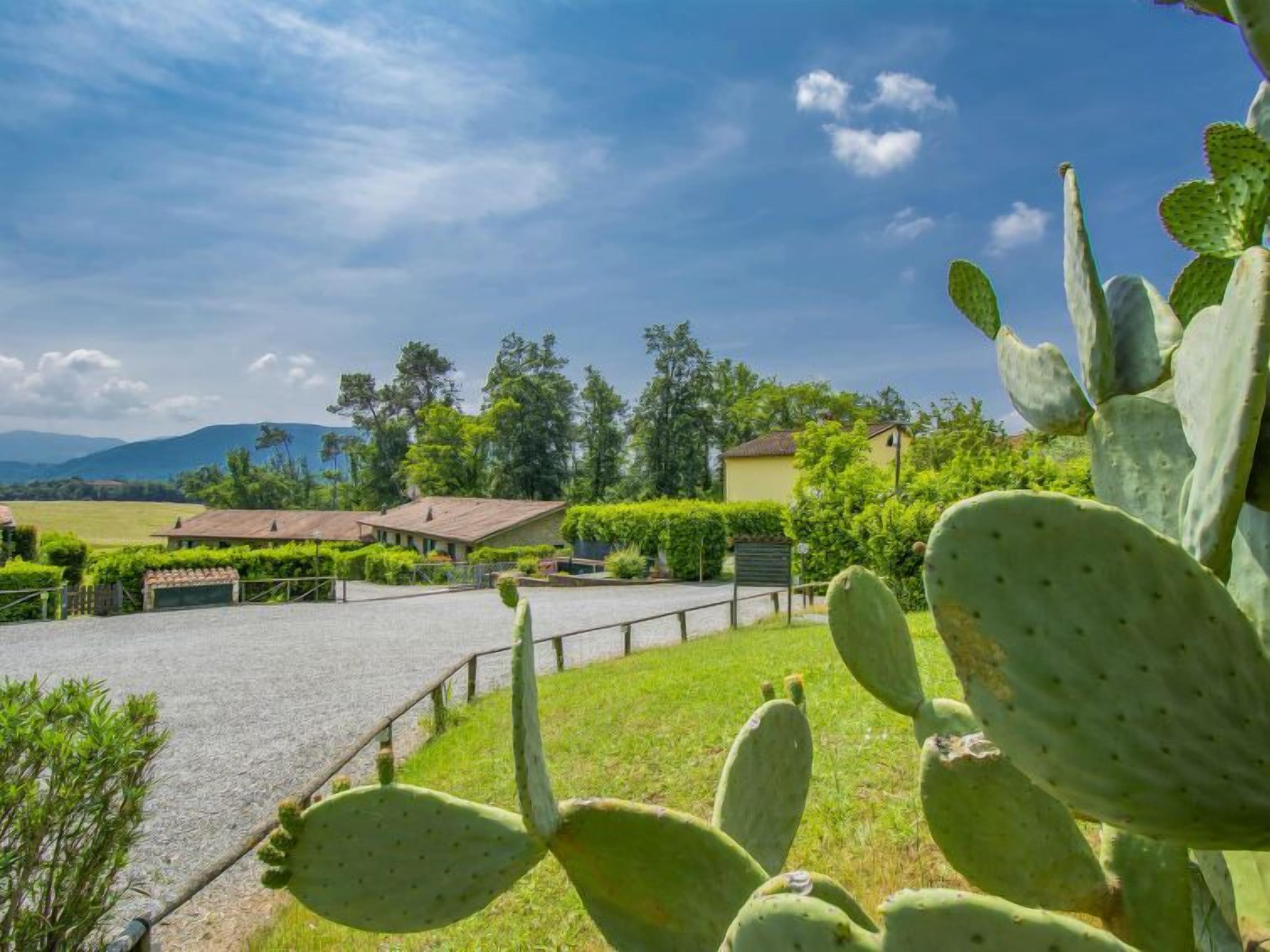 Vacation home I Pini in Lucca - 4 persons, 2 bedrooms