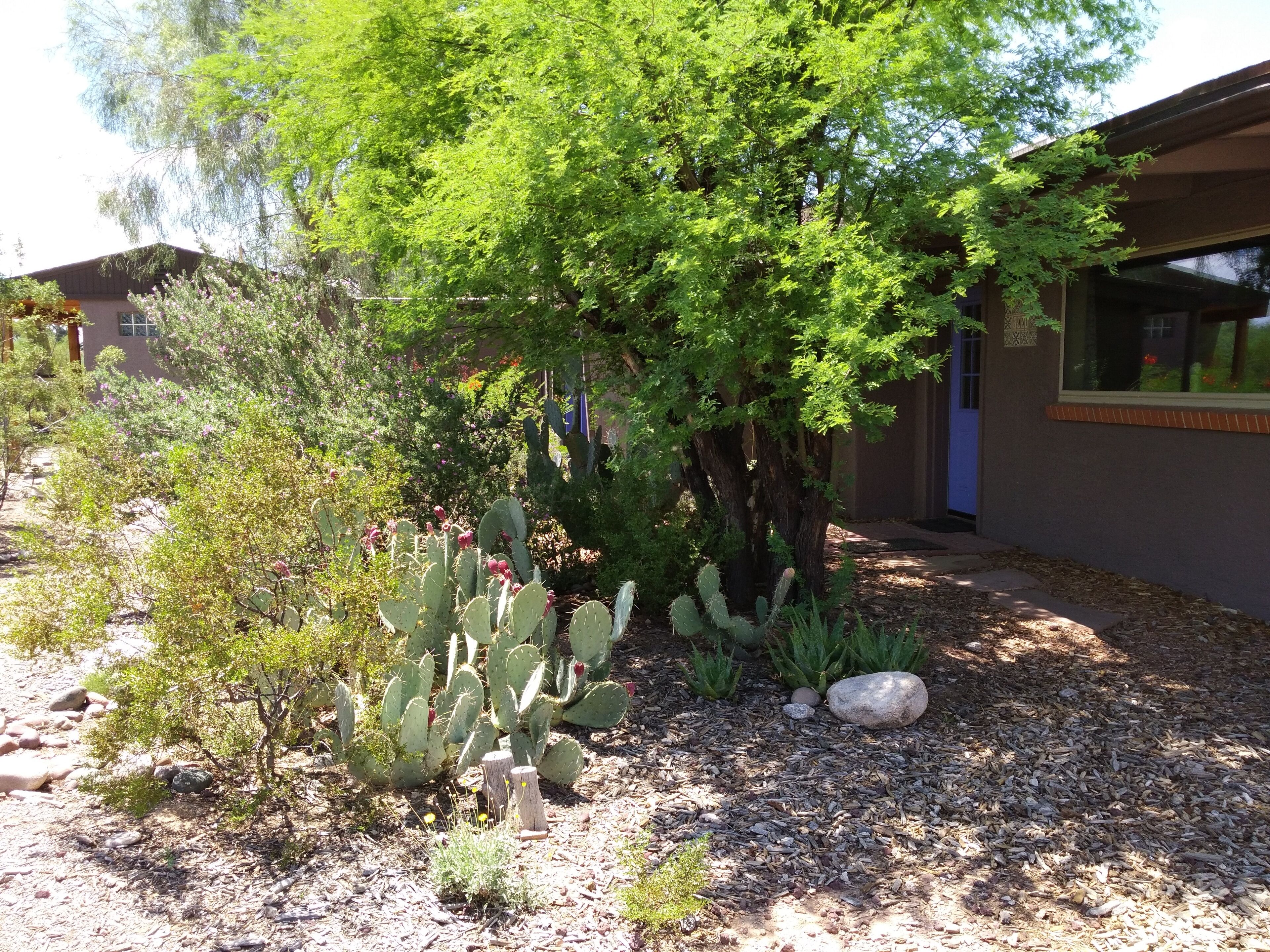 Serene and Charming, Private, Immaculate, Central,  2/1.5 Back yard and Pool