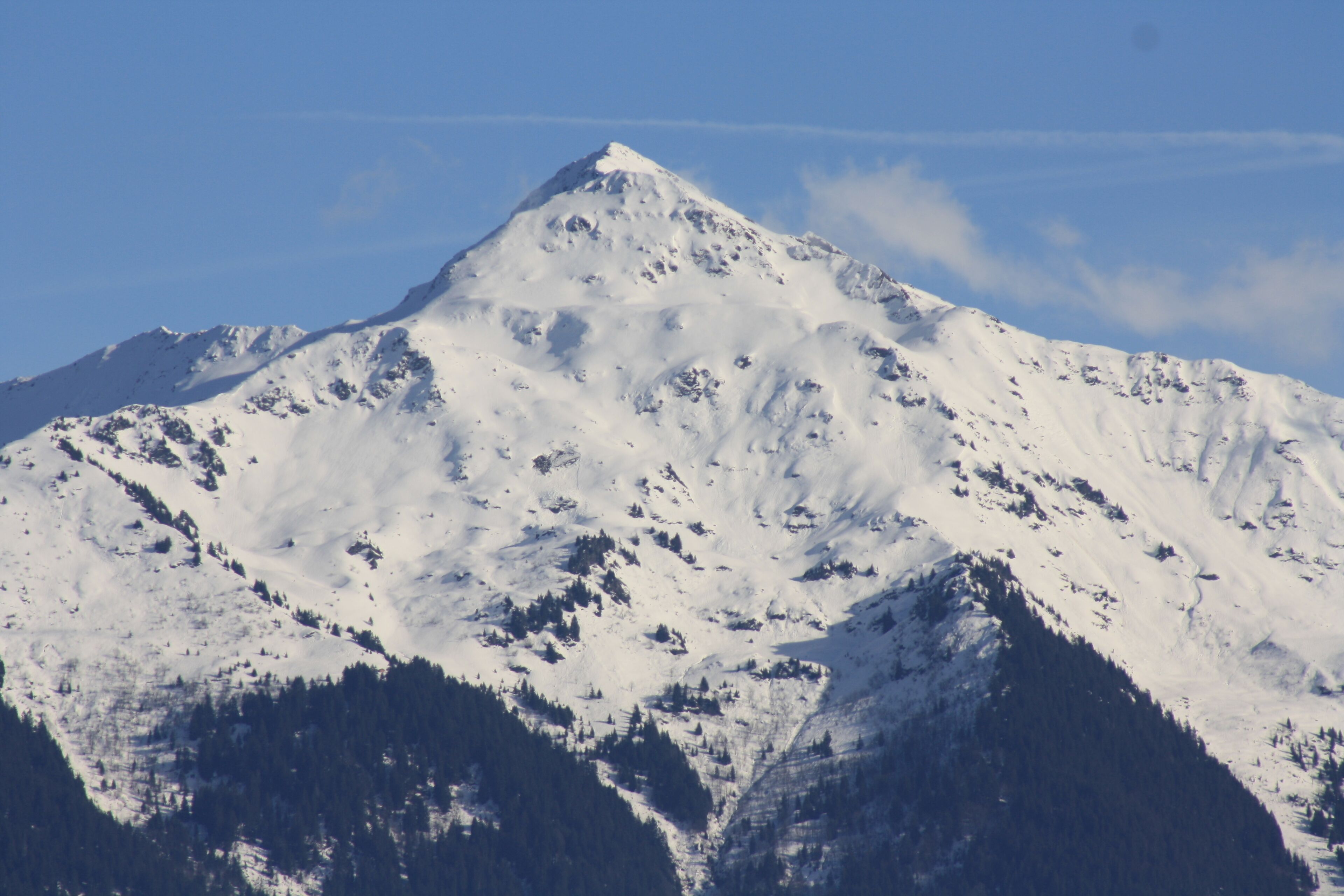 Independent apartment in individual house.