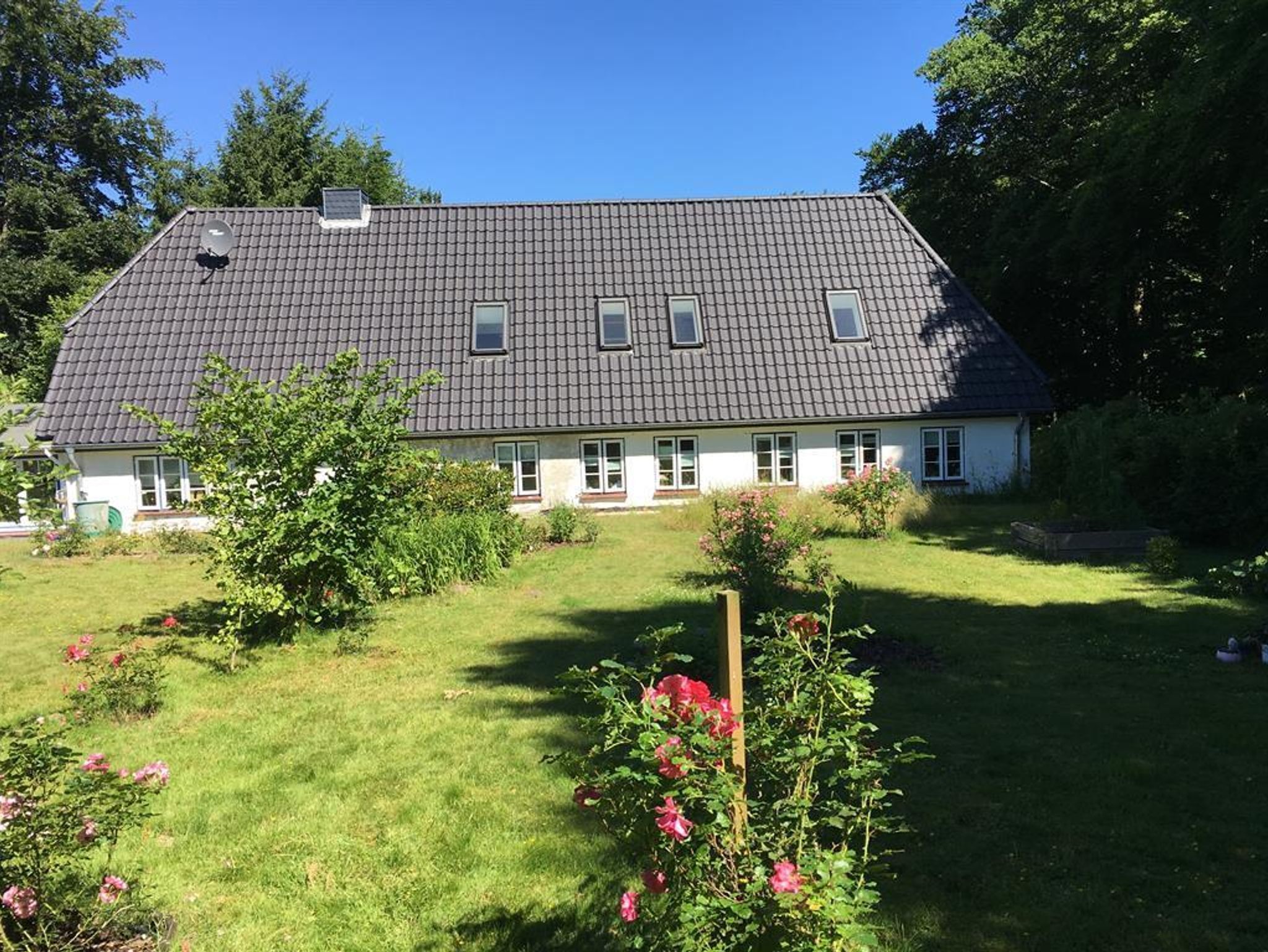 Süderholzkate - Apartment Süderholzkate