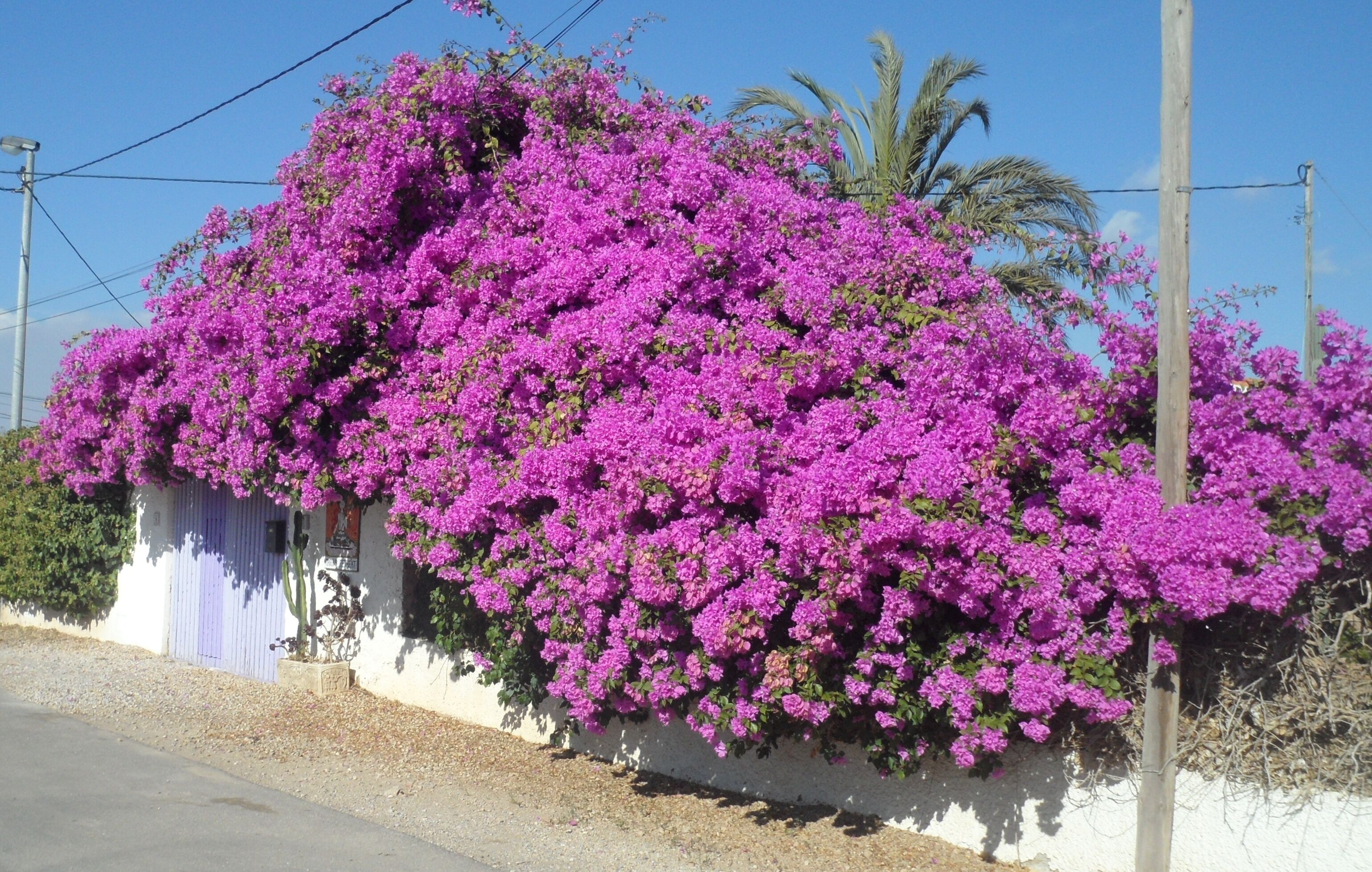 Country House in a Spanish Village, in the outskirts of Cartagena