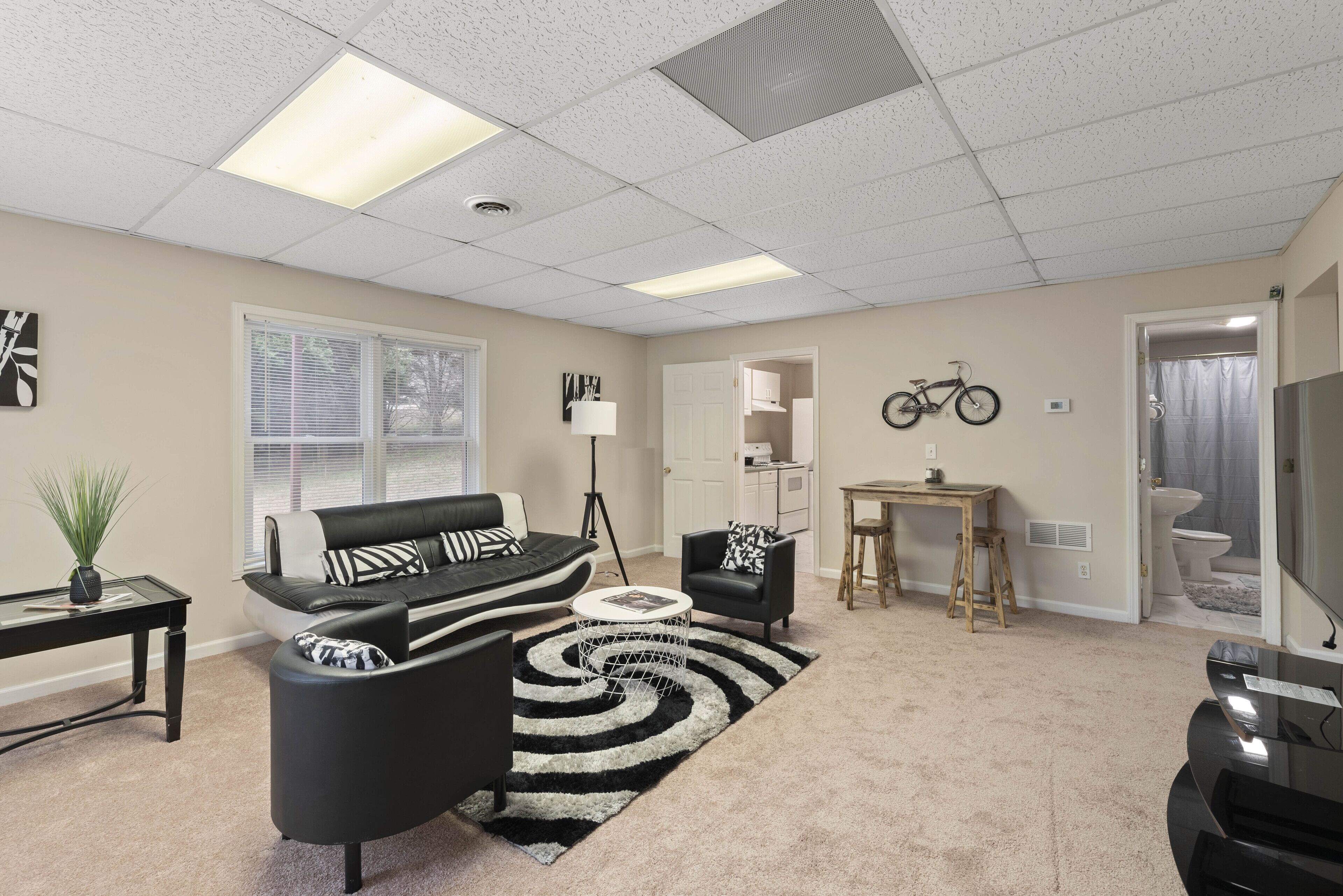 Basement Hideout in  Alpharetta