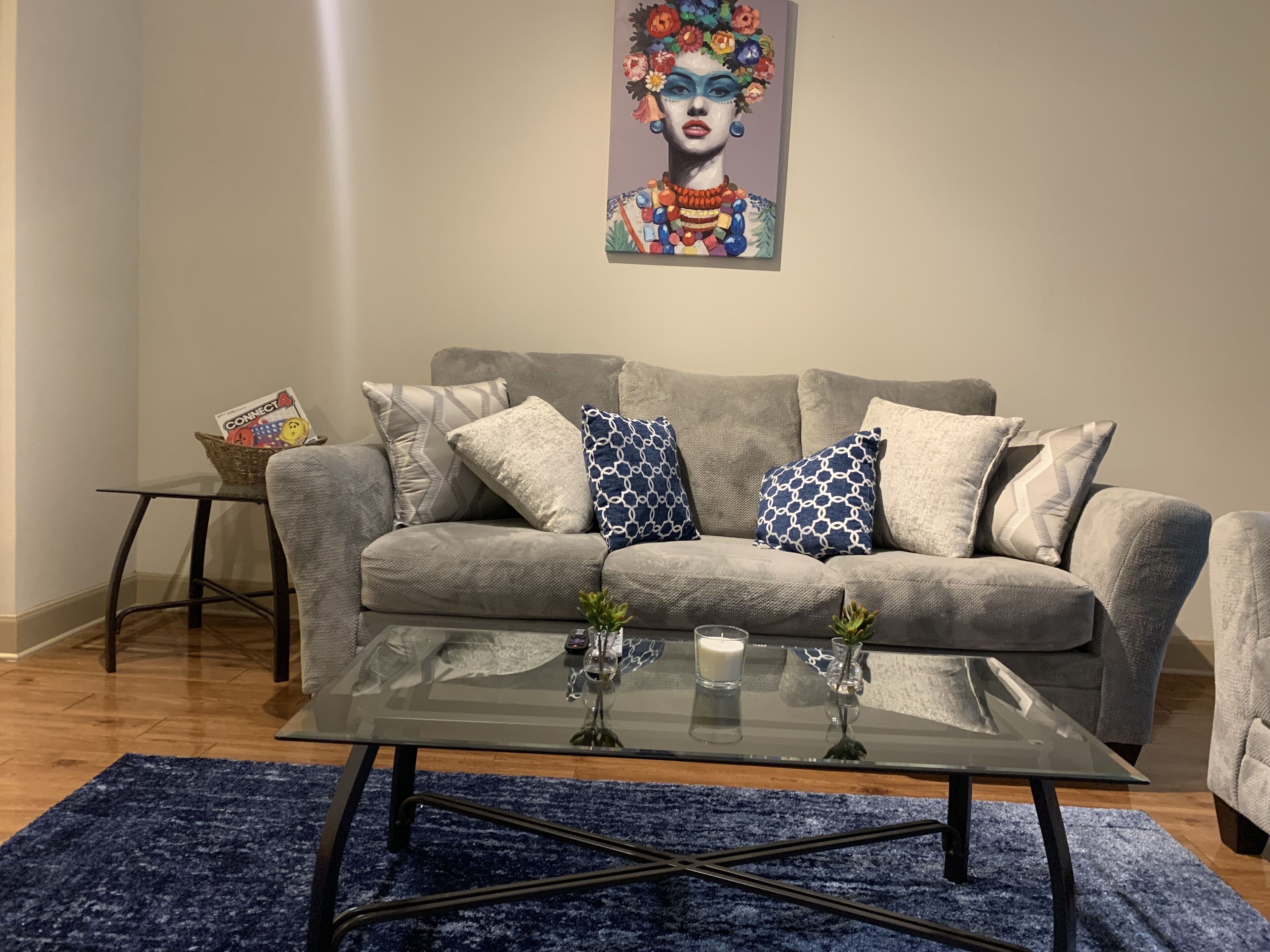 Beautifully Furnished Apartment  NRG/Medical Center/Houston <br>